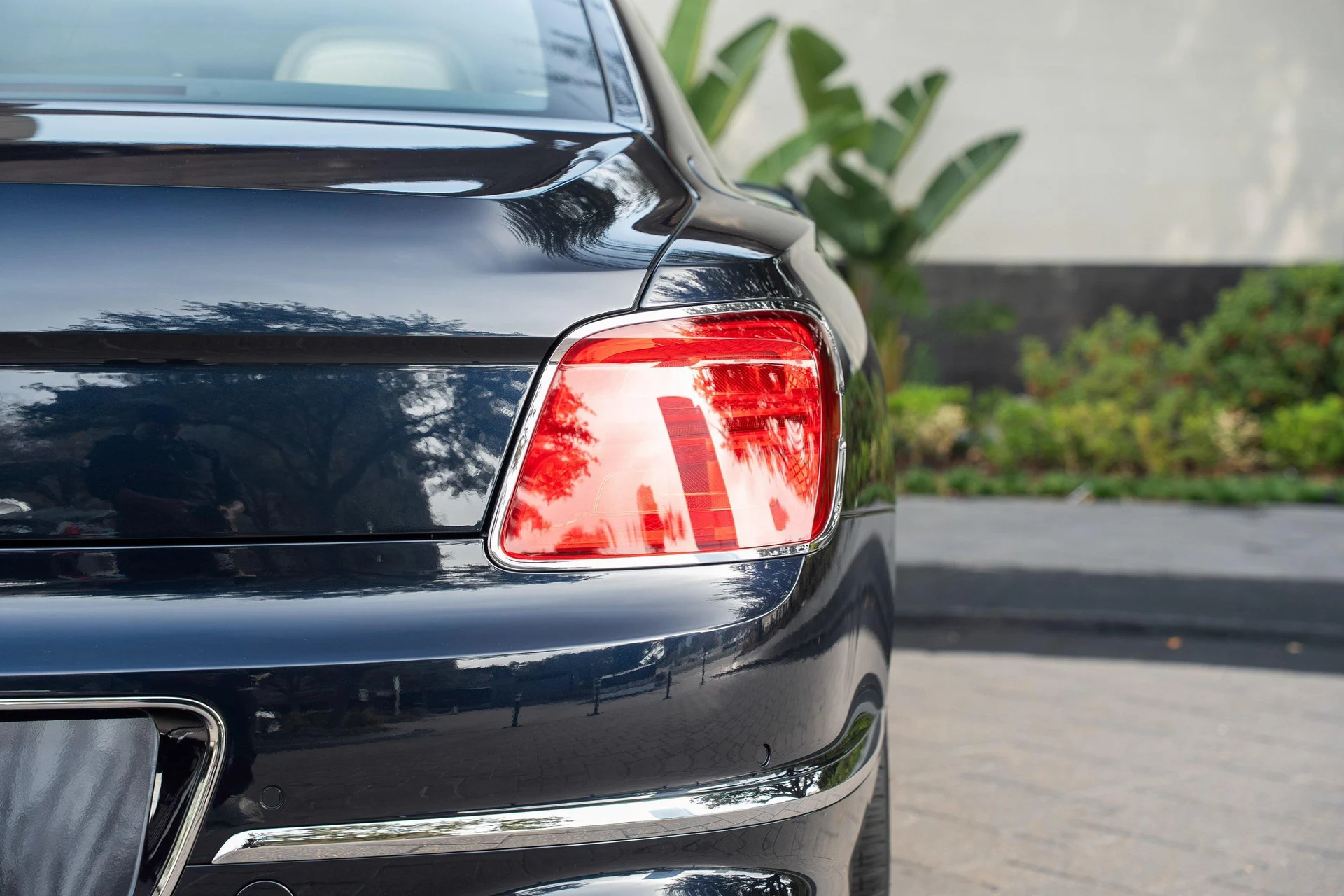 mph045_2169545834_477619930_695e14ee511ab76ffaffbc70_72b6f15b18