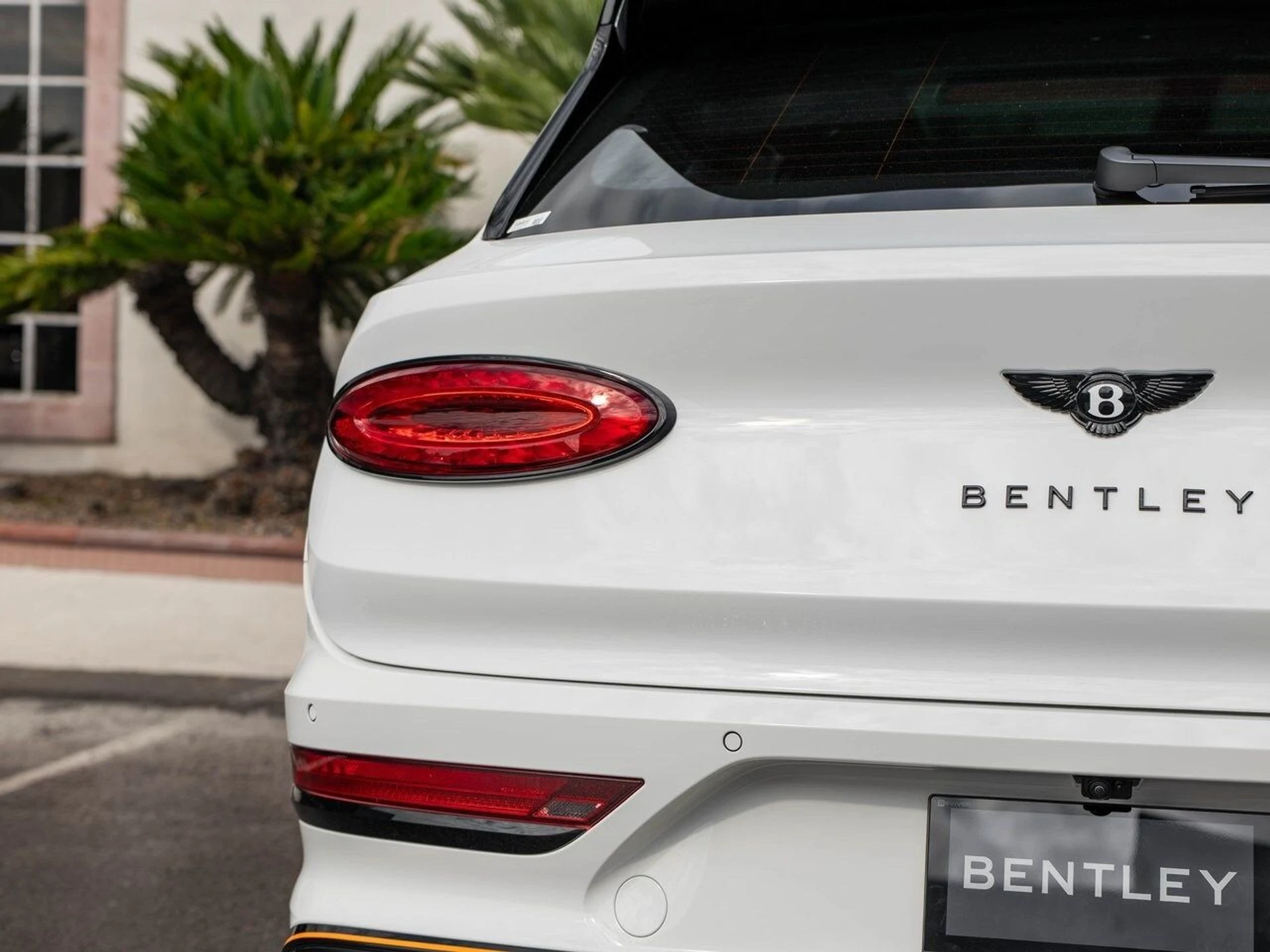 mph045_2191464127_cb2edbfc27ca56f31e2585f21a2a495fx_63c850067e