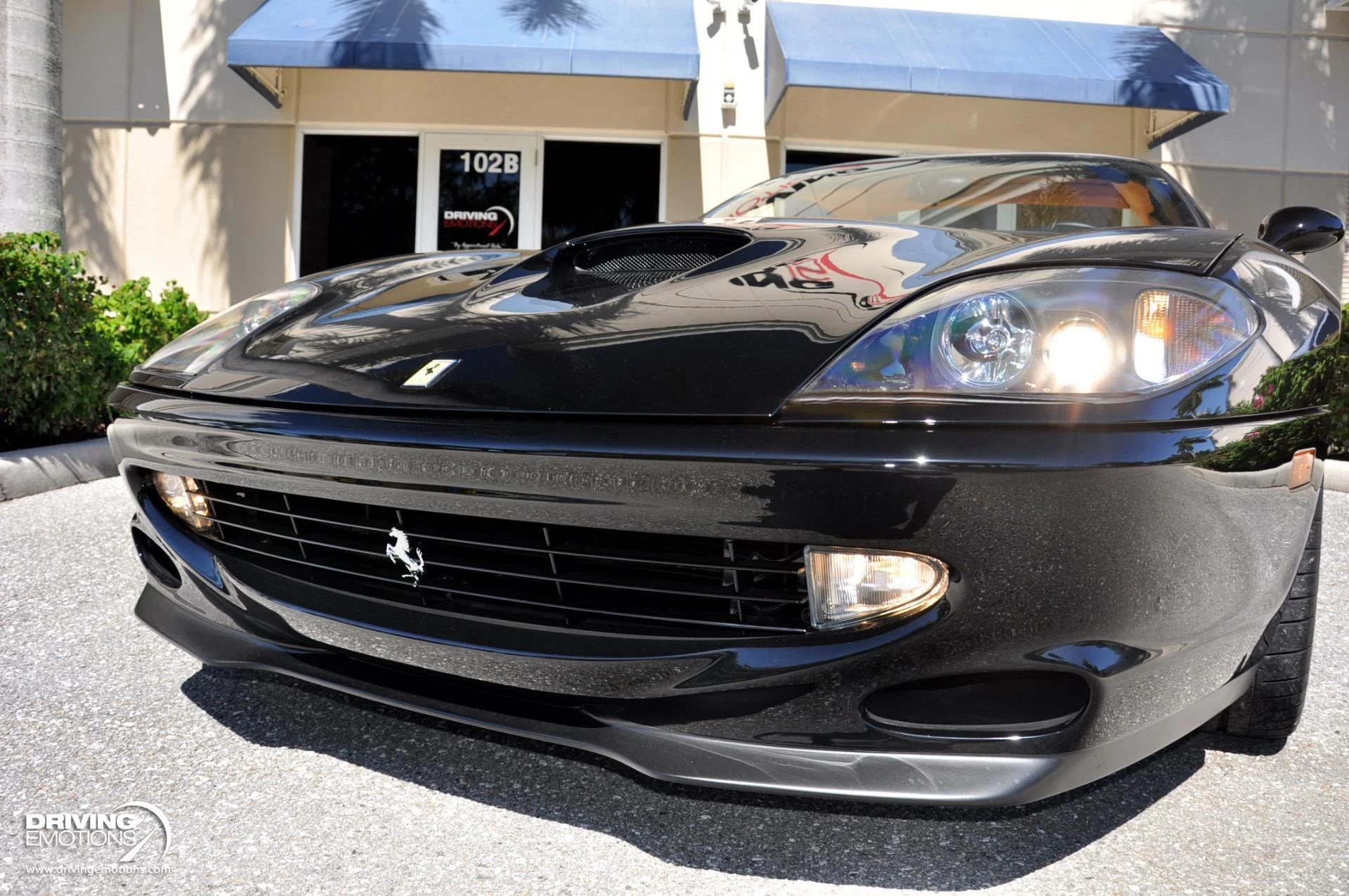 mph045_3044876163_284_p46_l_85e20aad8d