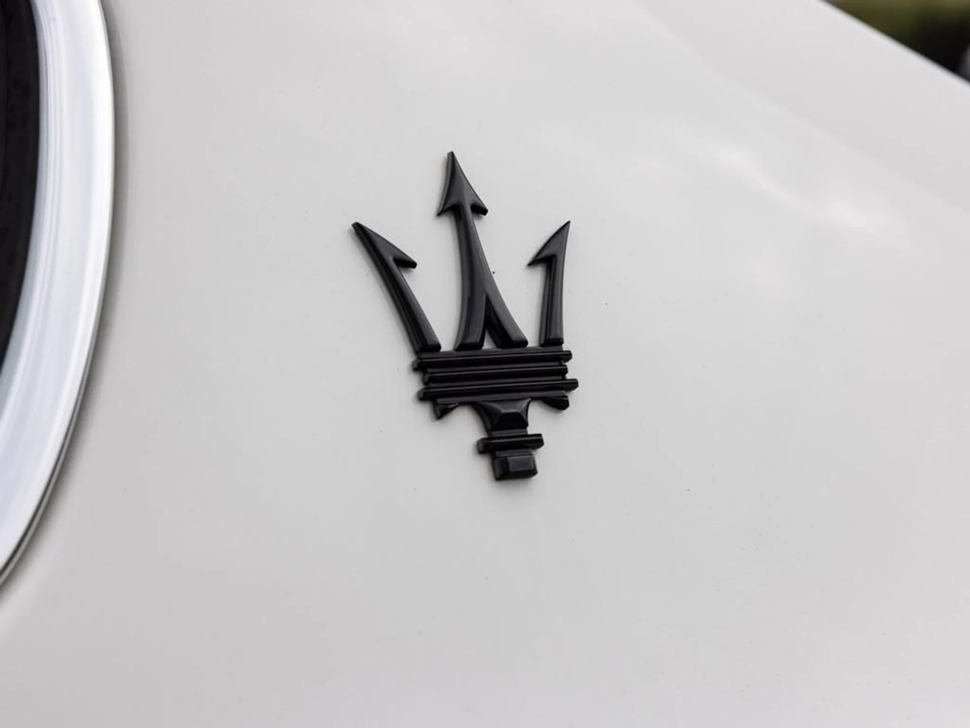 mph045_3366118139_472374605_6925efd442064a968b9b85d5_95a13ab874