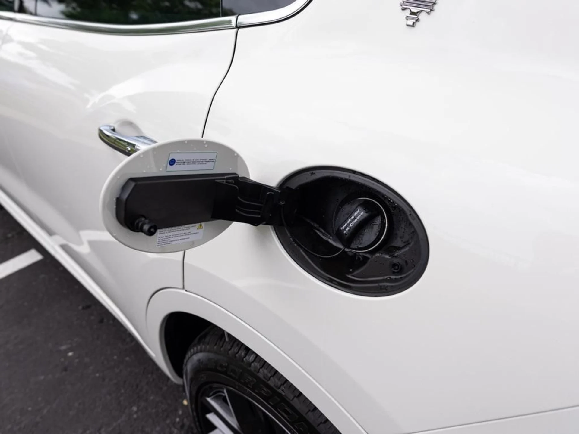 mph045_3431241369_478444804_692f06680d1b9ac3fcfb9c87_1585b39a8b