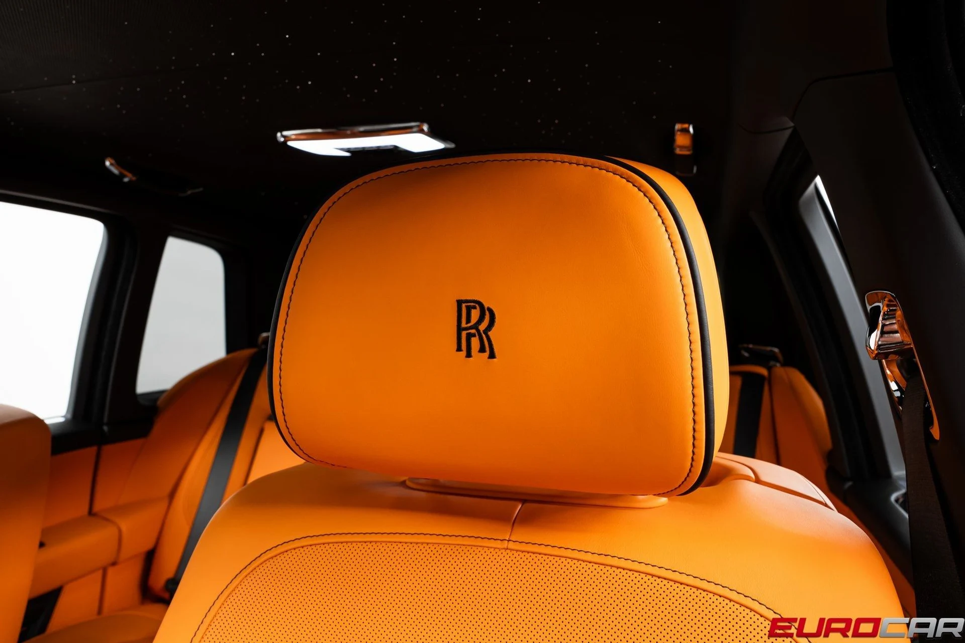 mph045_3793511328_image_46_4bea9ddb85