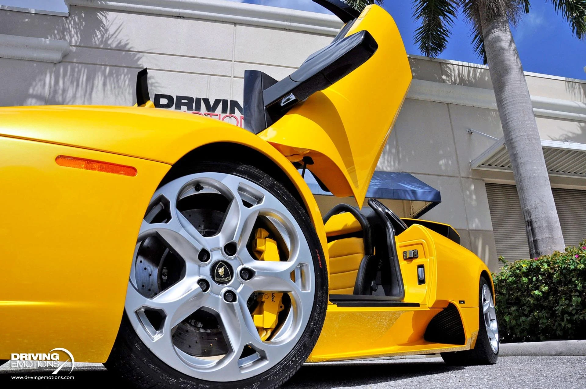 mph045_3938490467_862_p46_l_a1ee519dfa