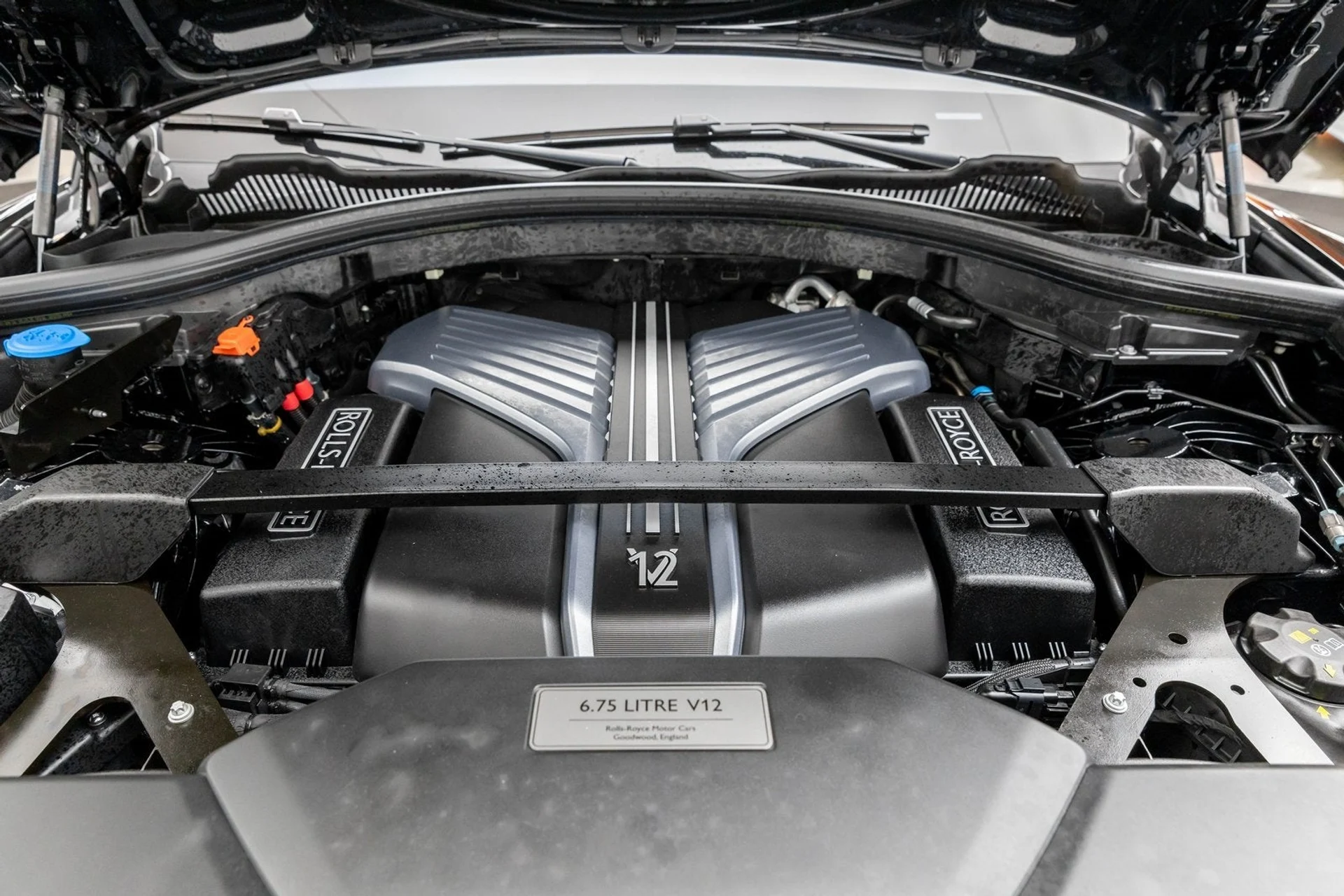 mph045_3968733061_46_ee47f6915d