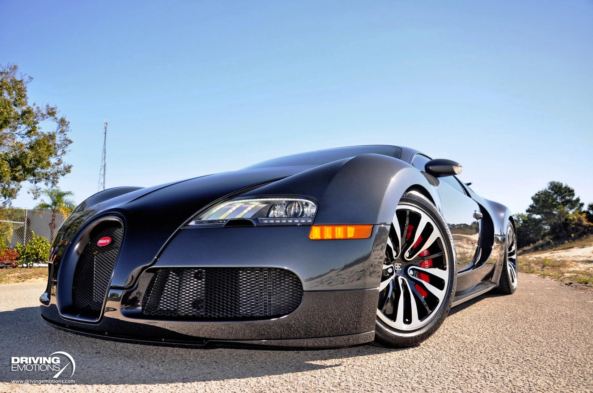 mph045_4083407375_479_p46_l_6f747f47d7