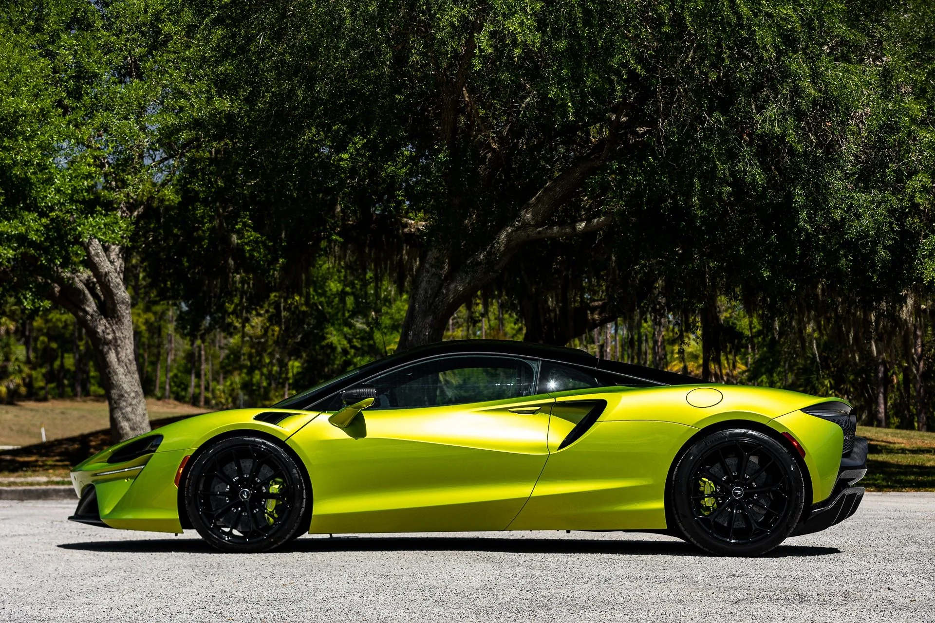 mph045_593828087_287_p46_l_755a978ec8