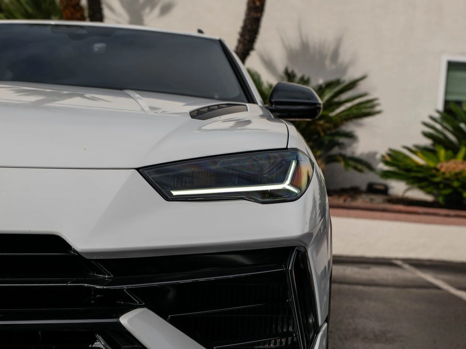 mph045_752358987_15e84a7f8b14b05c0670465218ba1598x_268de117f5