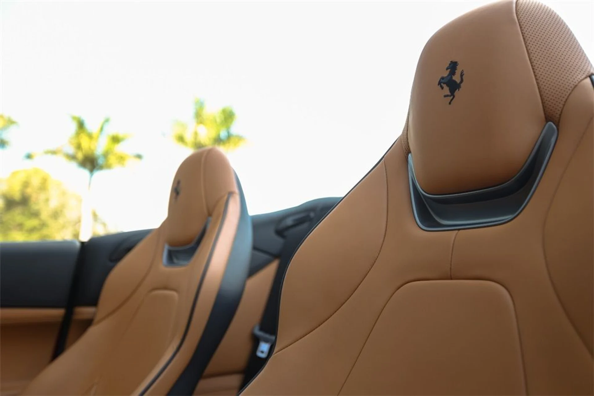 mph045_929062803_3ead3fdf60835463f92e3f3f668fd244_0d4cf73a15