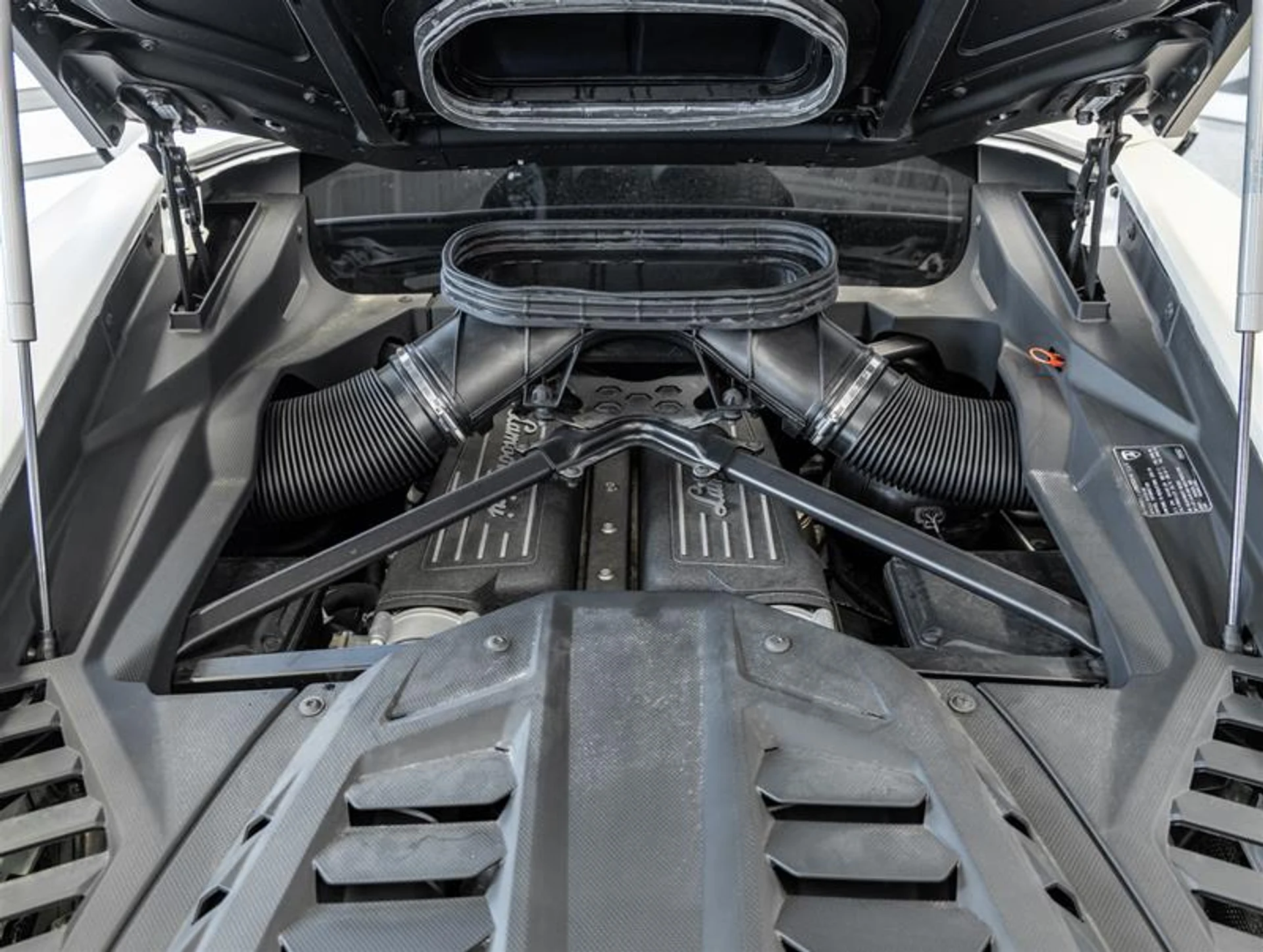 mph046_1003918817_11902165_1645434936_ccbe5f45d7