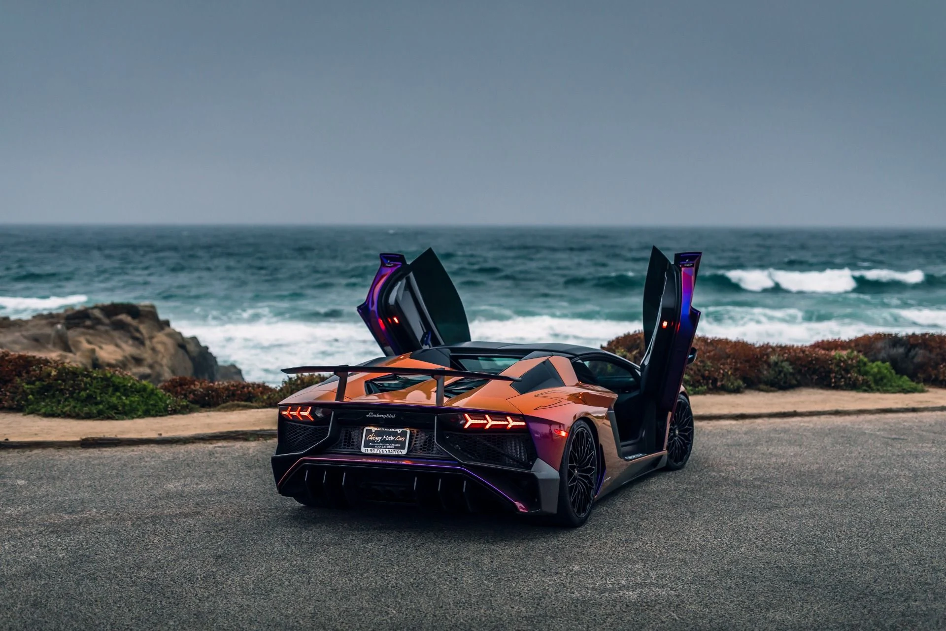 mph046_1066659921_8742_p47_l_6a794e2c9a