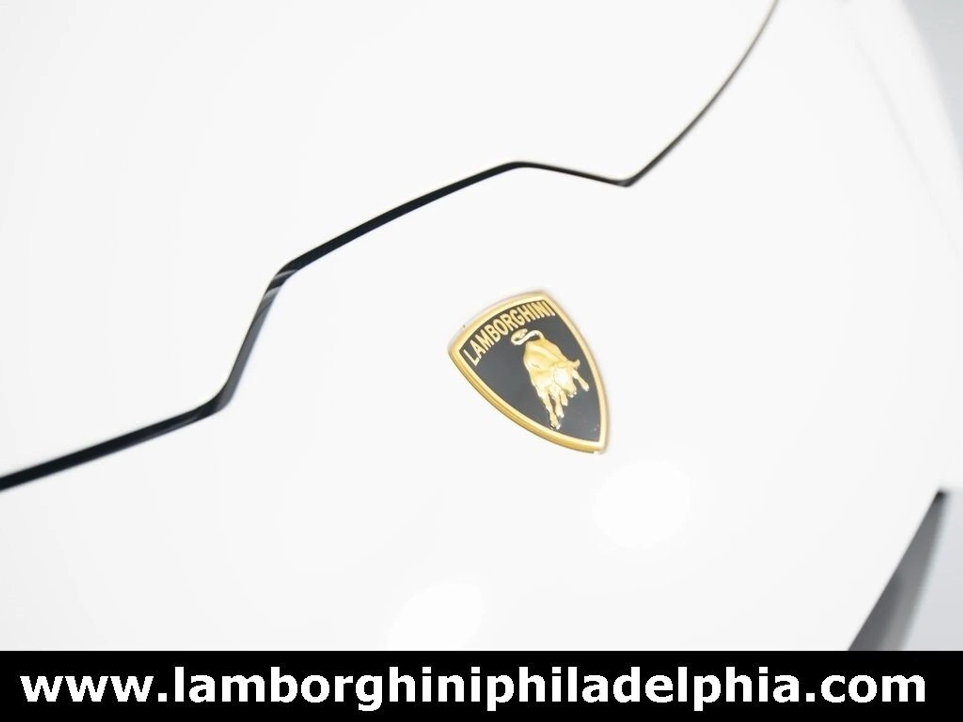 mph046_1113116807_d8f3f31532fbc3511f51e5e22ca20beax_7133e74c42