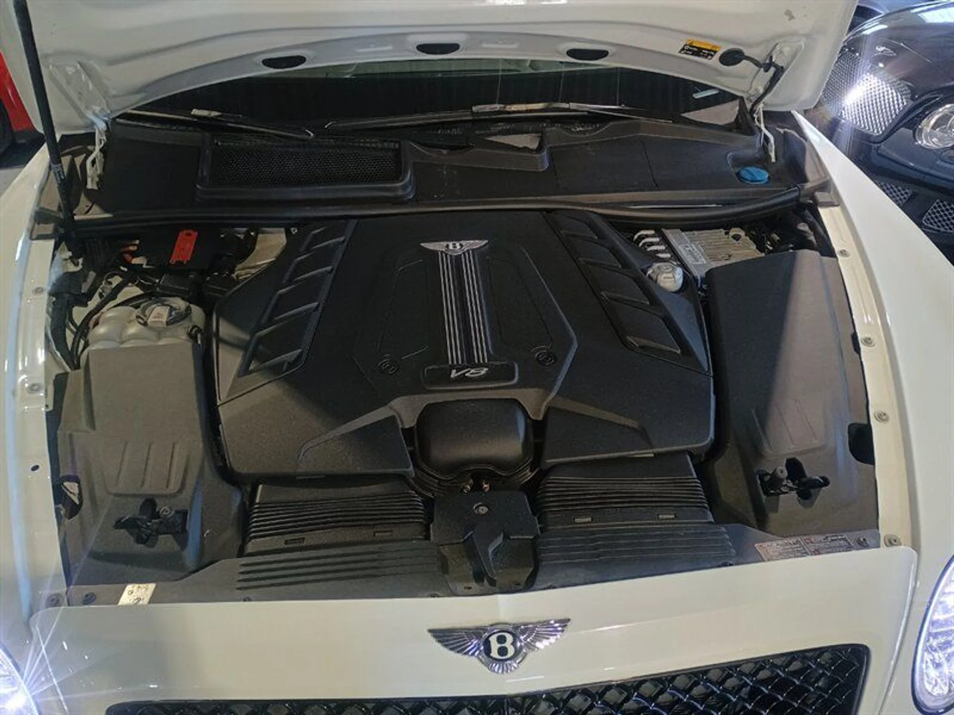 mph046_1140924600_81ce1a6160_800_c5761f5775