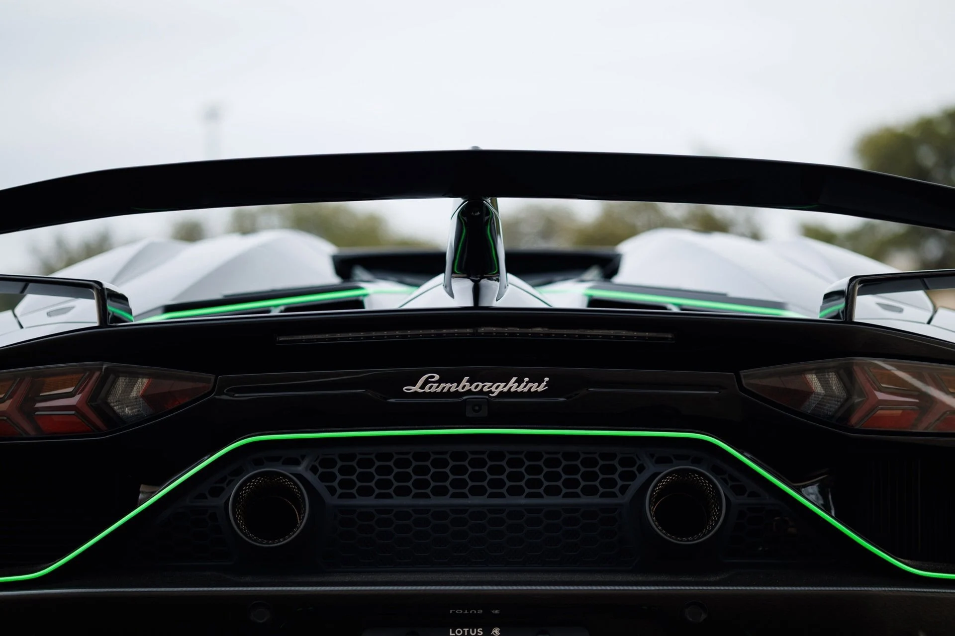 mph046_1146629170_cbdc54cd915cbfae78f2caa00c3a6a87x_4ab1728383