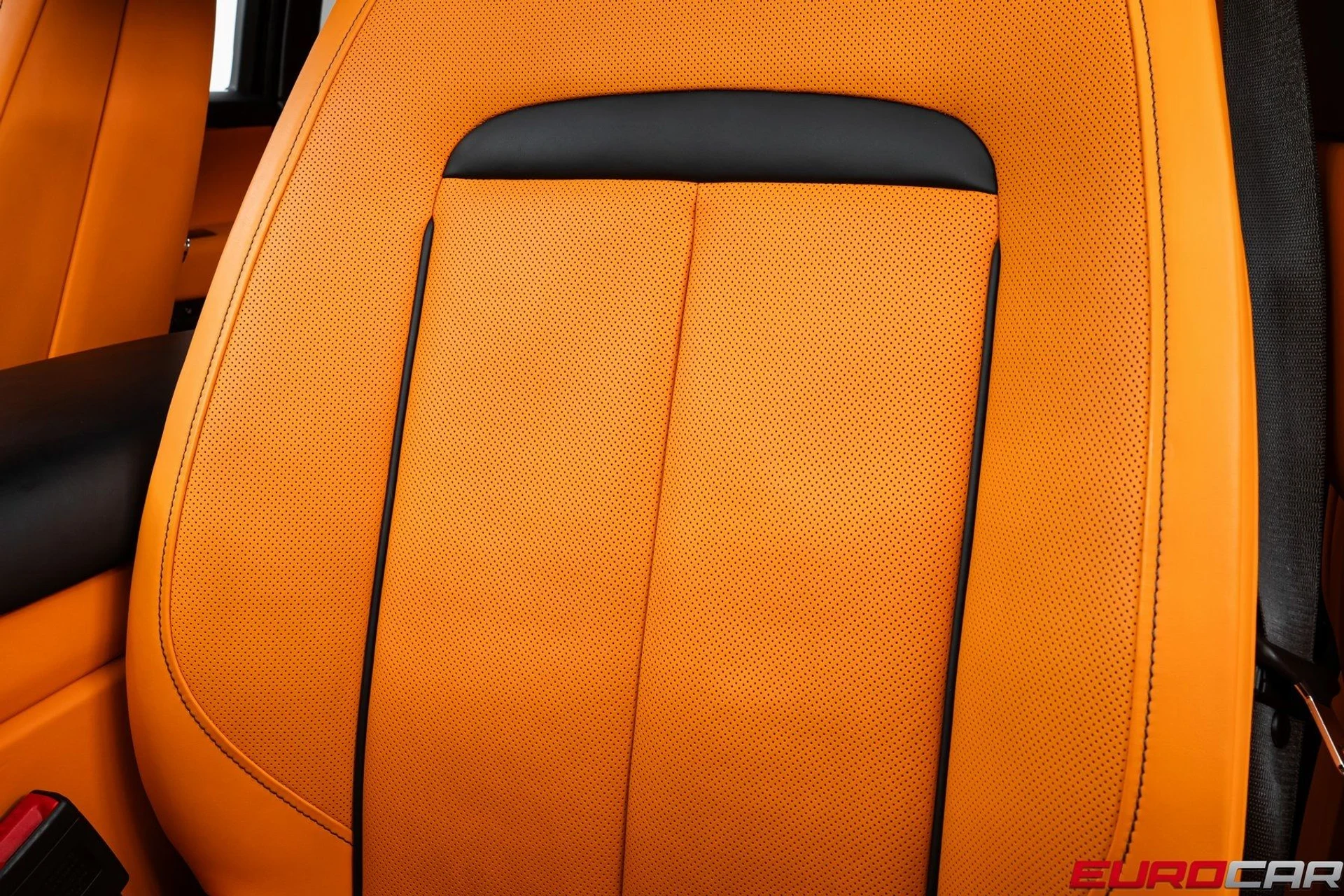 mph046_1548471829_image_47_48cf0836b4