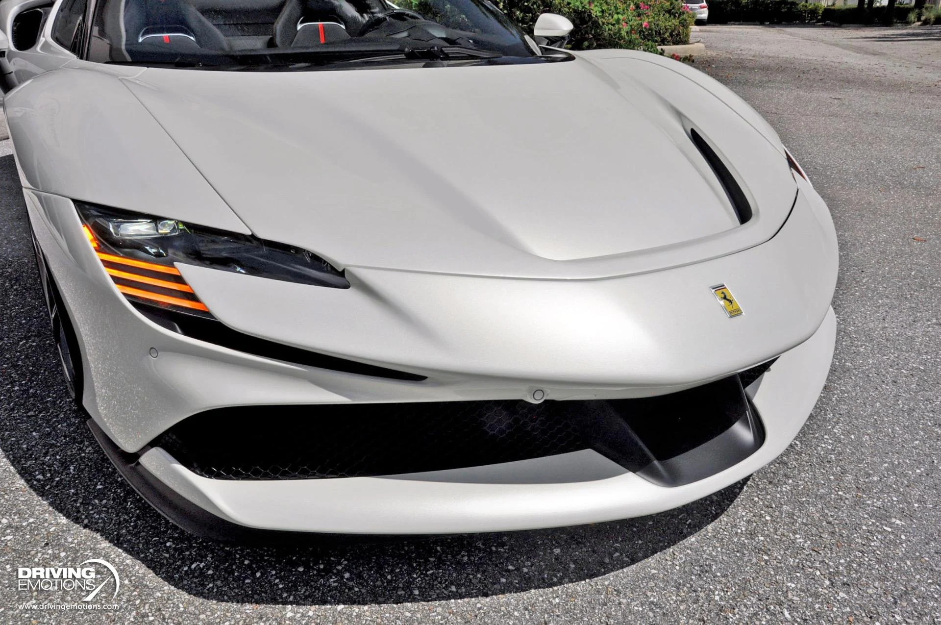 mph046_1809118807_859_p47_l_415ca82c70