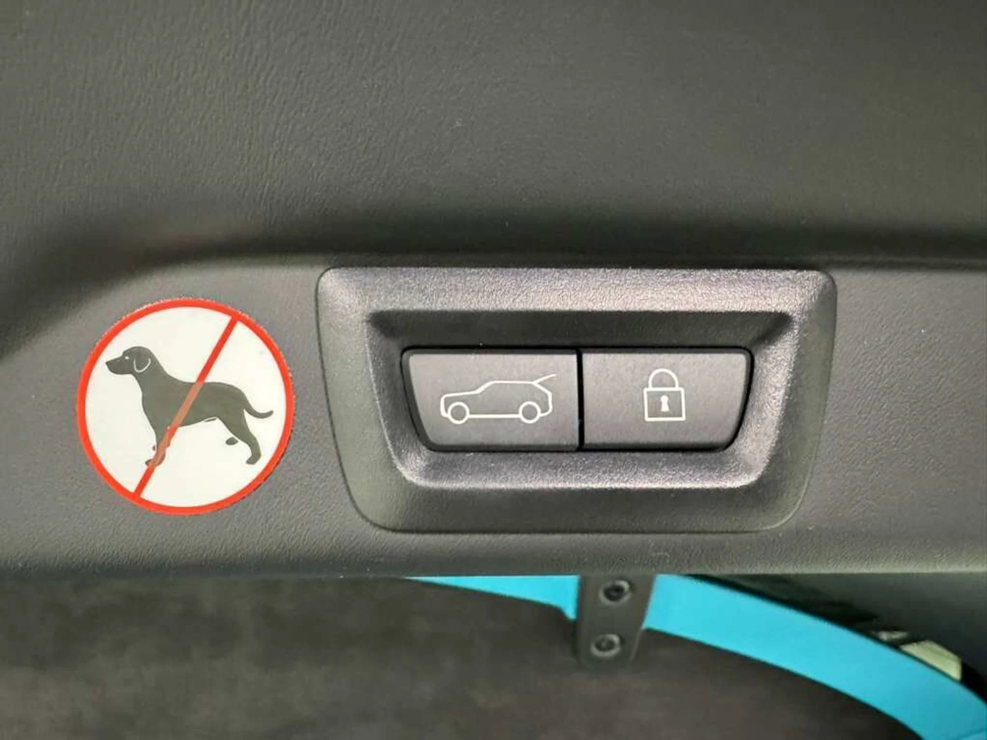 mph046_185820193_85eb959b35a4256b643ceaa0ba0f58ee_0ba1b68c2a