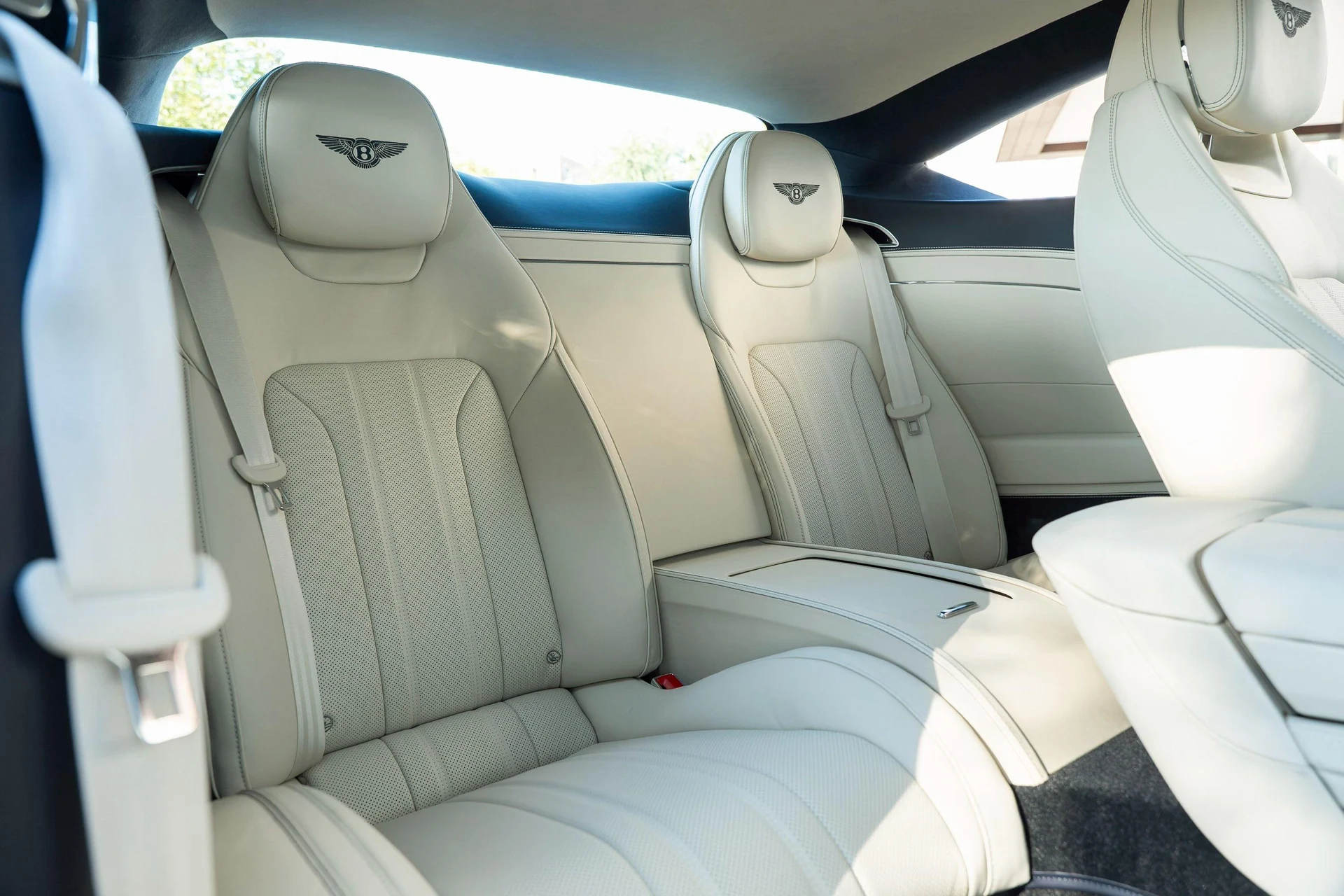 mph046_1919866022_458241675_6954bf604e73cd9f103f4e82_52669ceddf