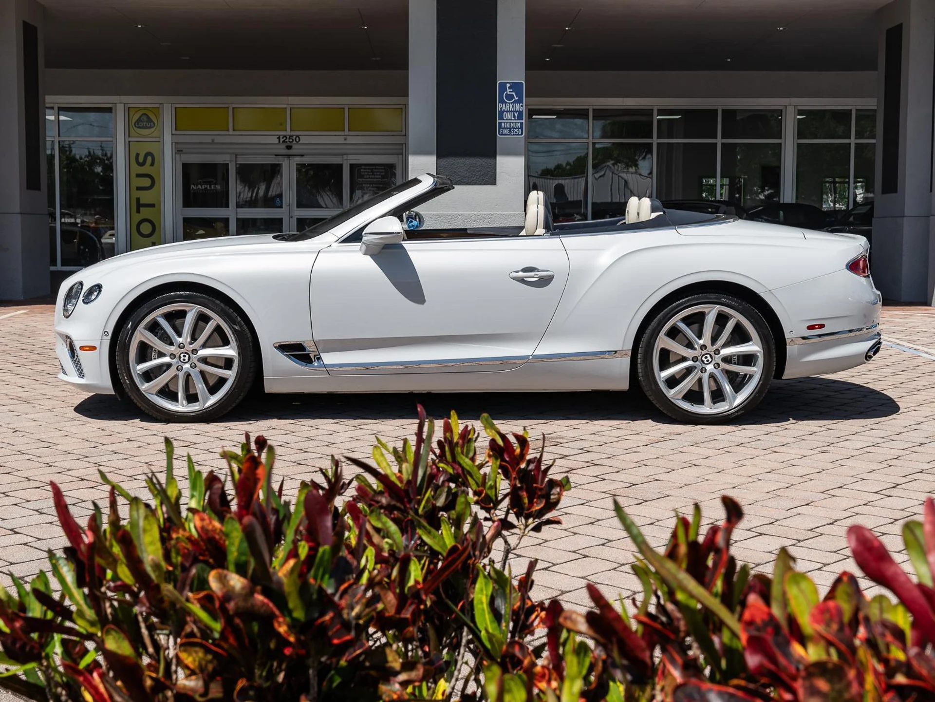 mph046_2038955706_Used_2021_Bentley_Continental_GTC_Mulliner_GT_Mulliner_V8_1775769053_9dd794148c