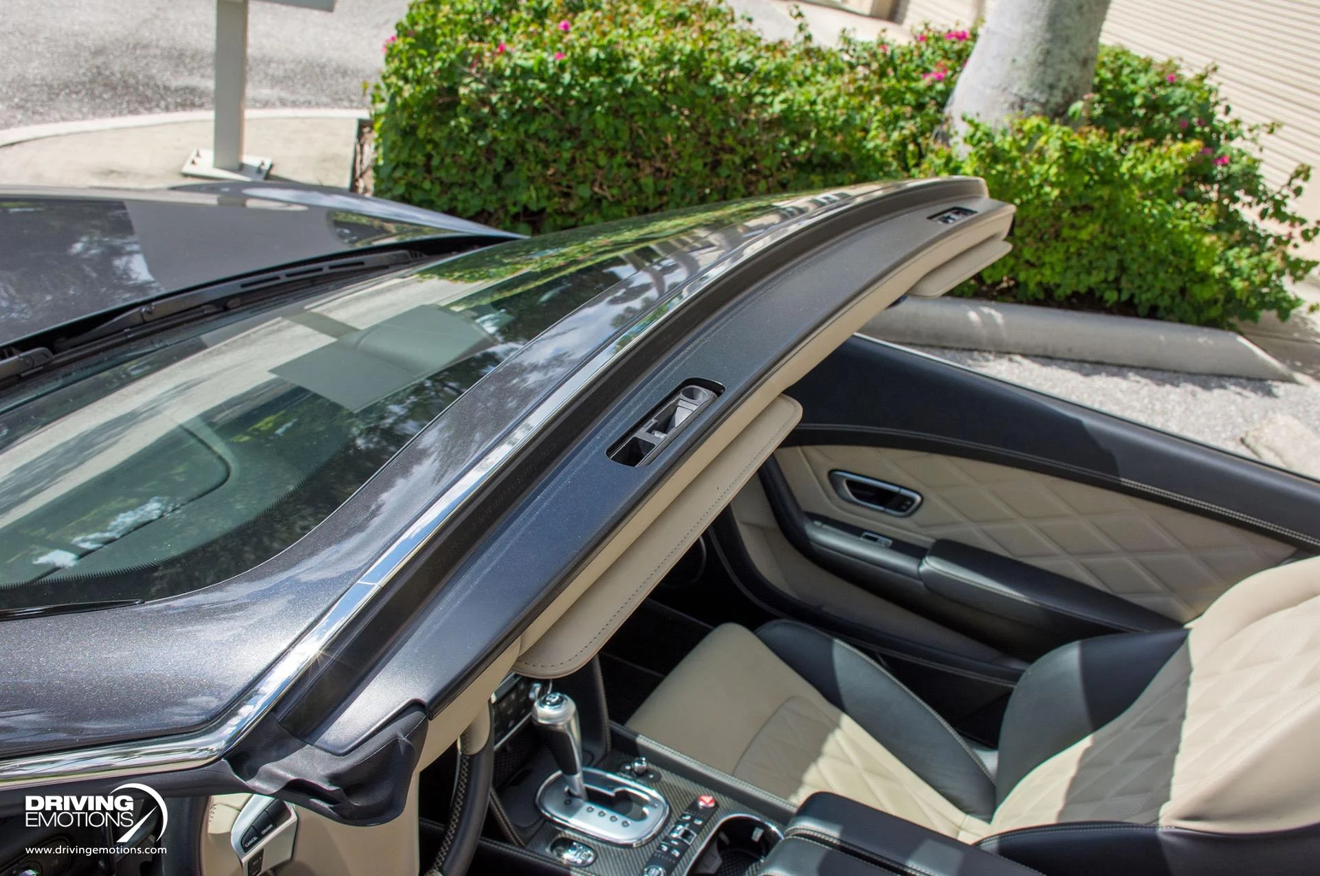 mph046_2660602283_871_p47_l_2d491f3354