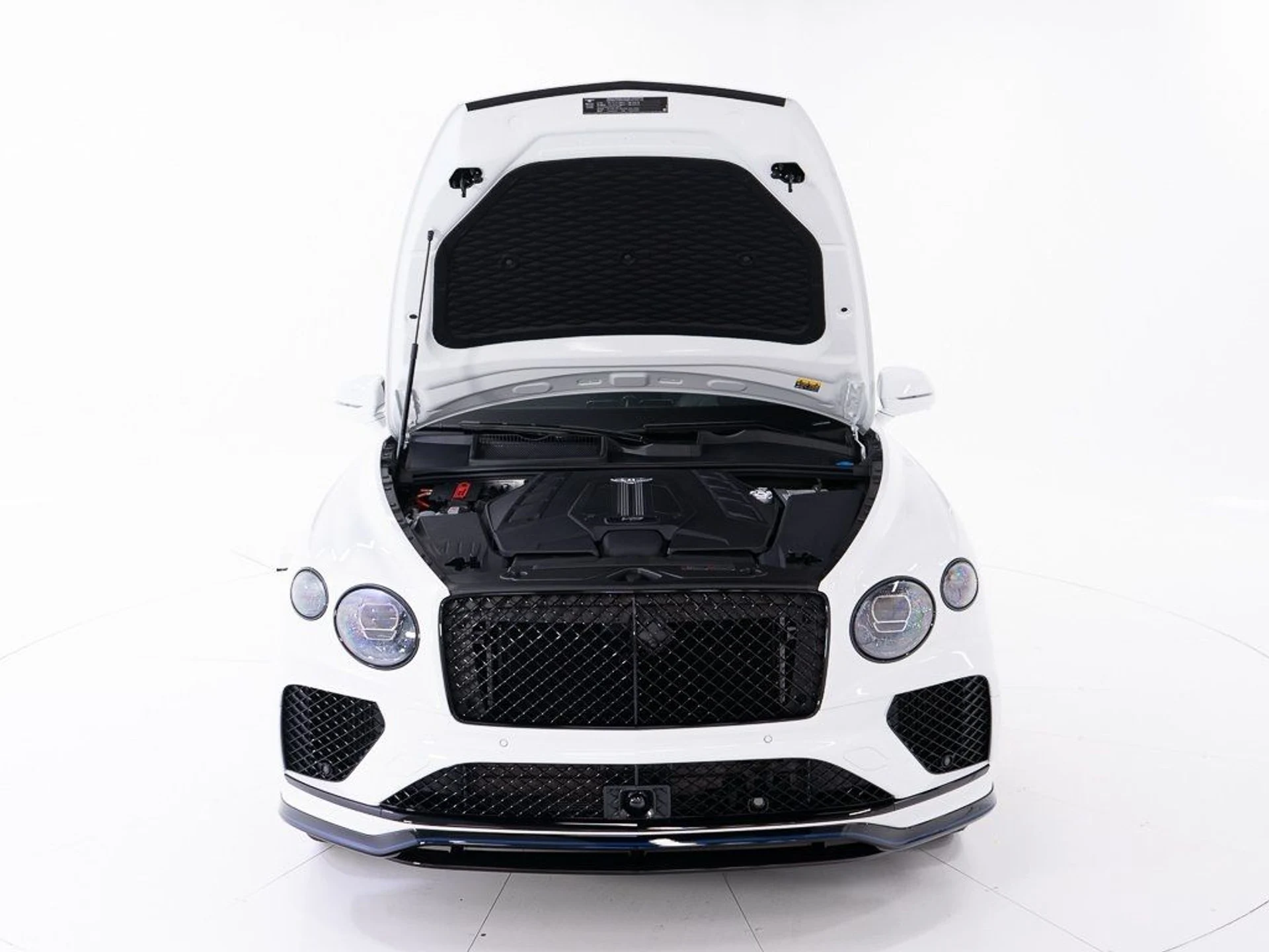 mph046_2946611122_492ad3d58a3698b75351c8ba10a15d22_cef78cf8fb