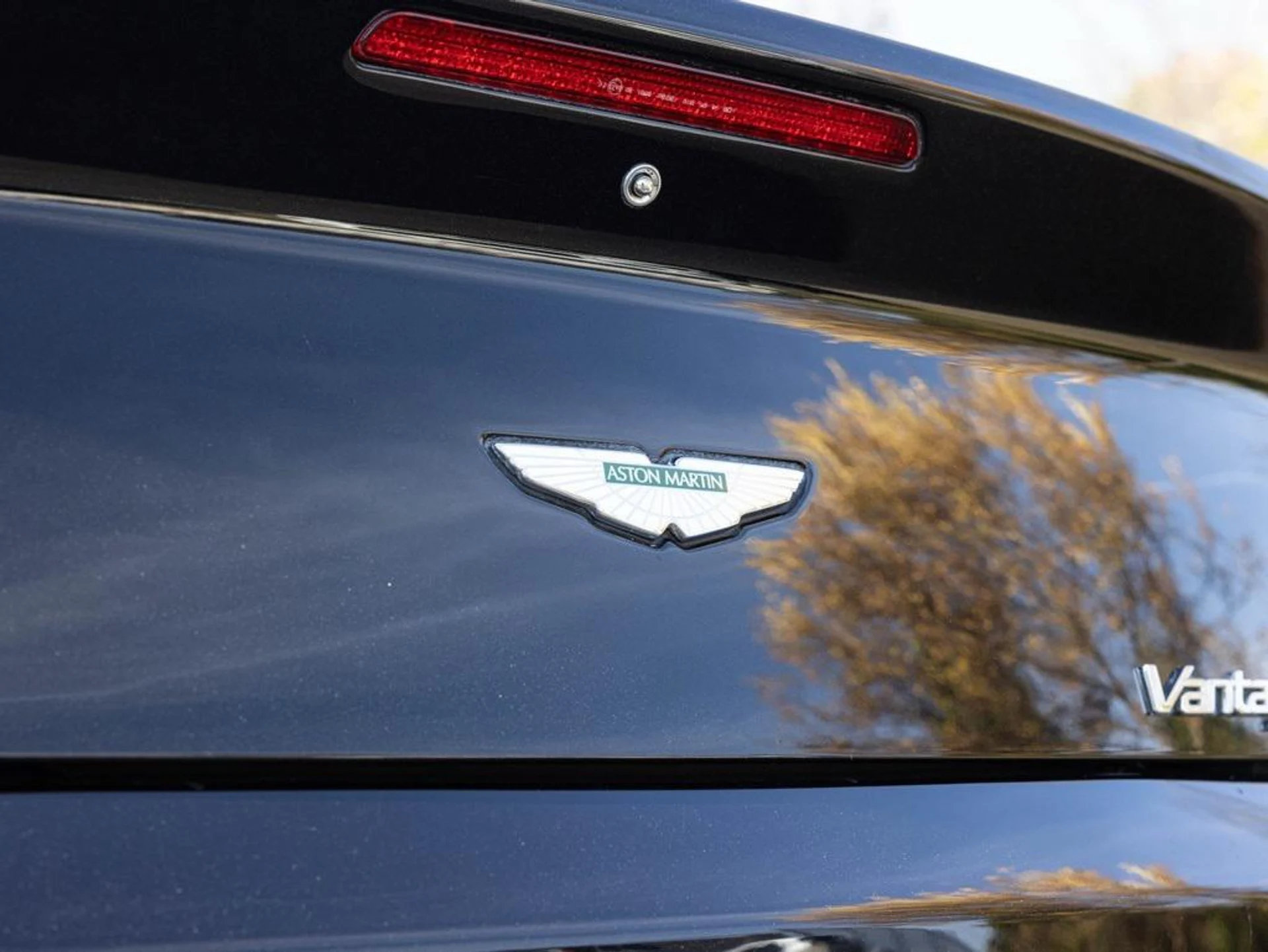 mph046_2951419930_475138144_691e0d3bc01e3bc8a2df6db3_59cf7ac7cb