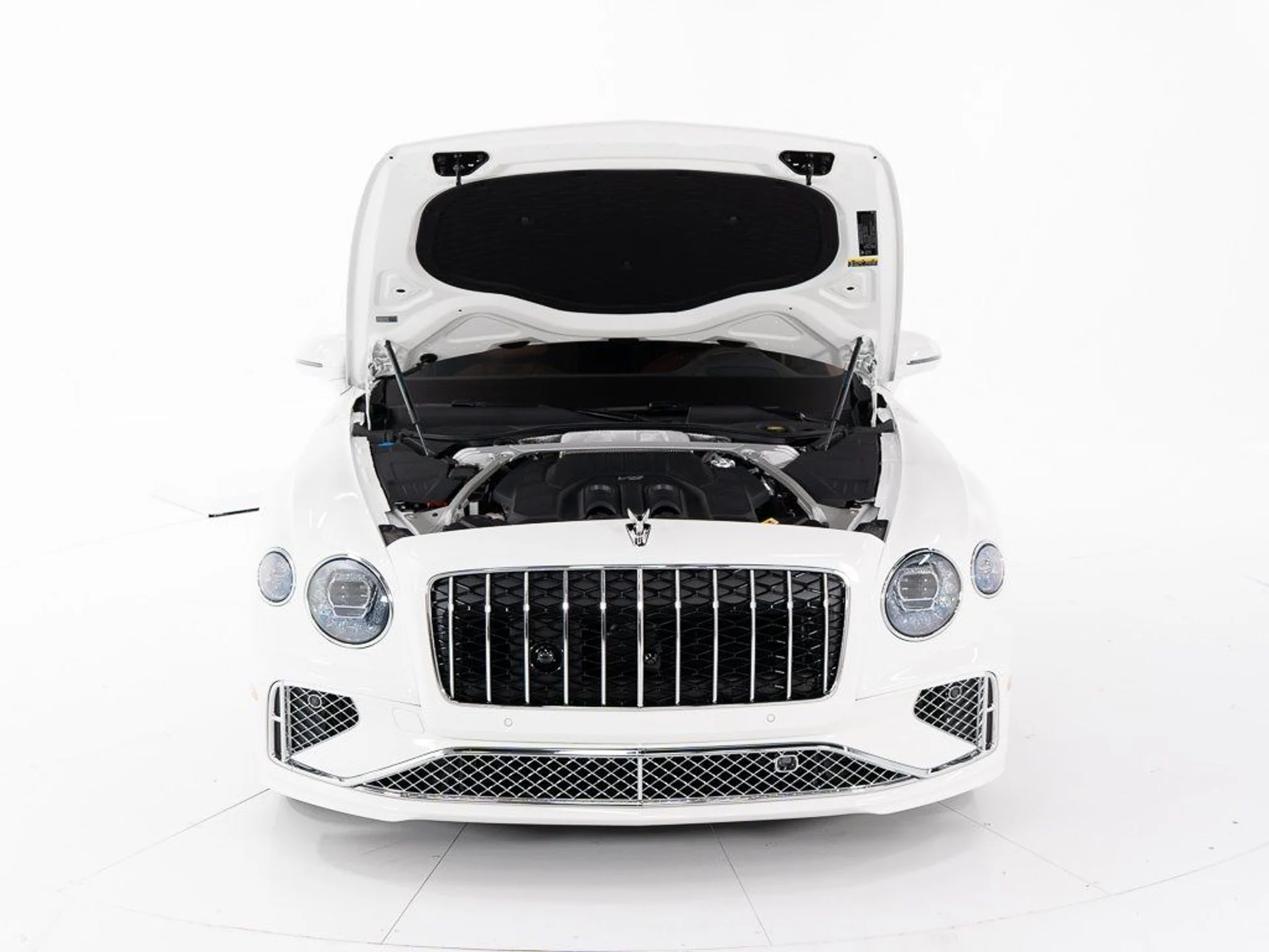 mph046_3285615444_13975093cd65d9ab83ebb817f252742f_d6b5917f1d