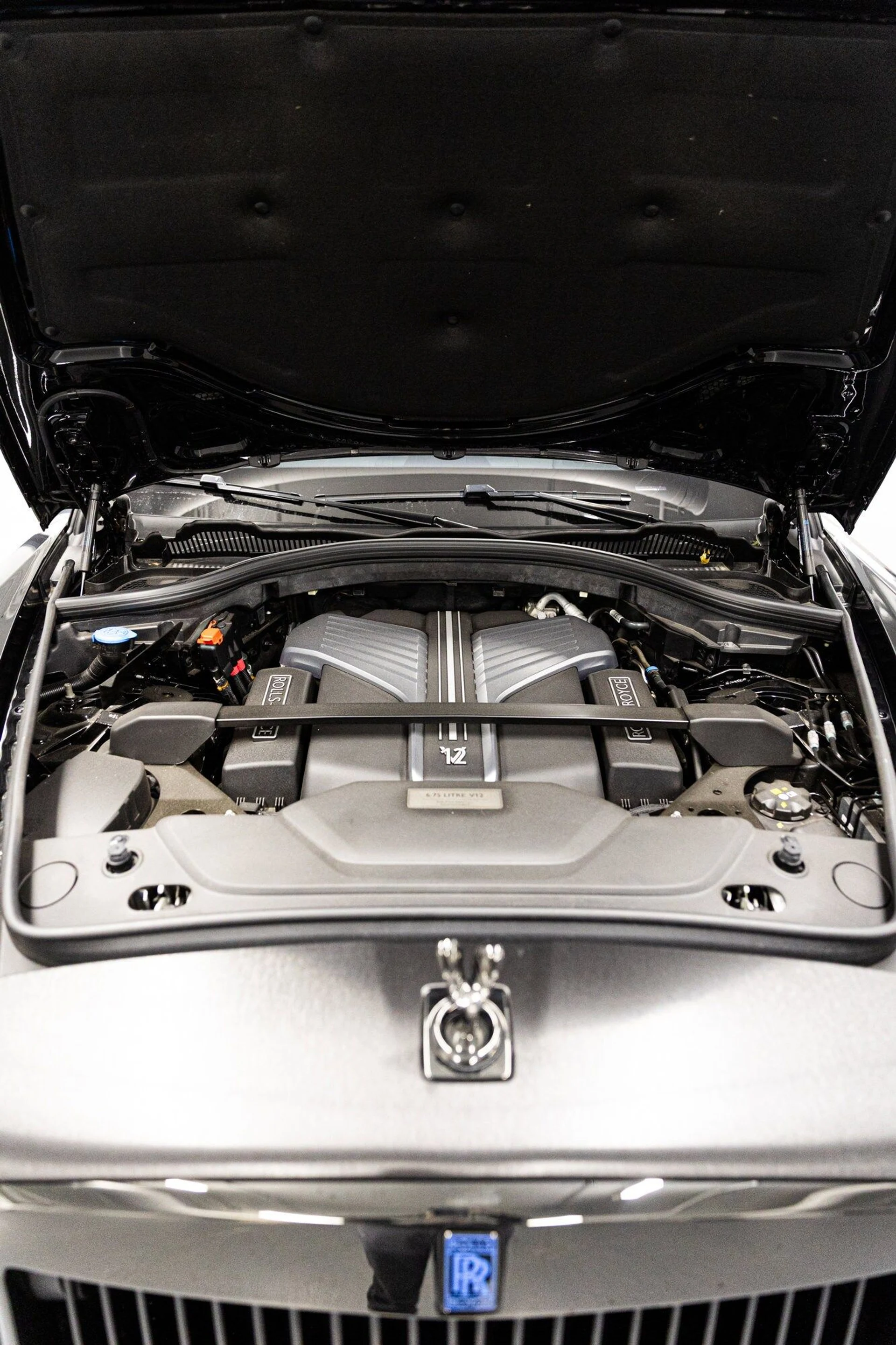 mph046_347763329_93923f263c4d793396eb33ac968974fcx_0b912377ba