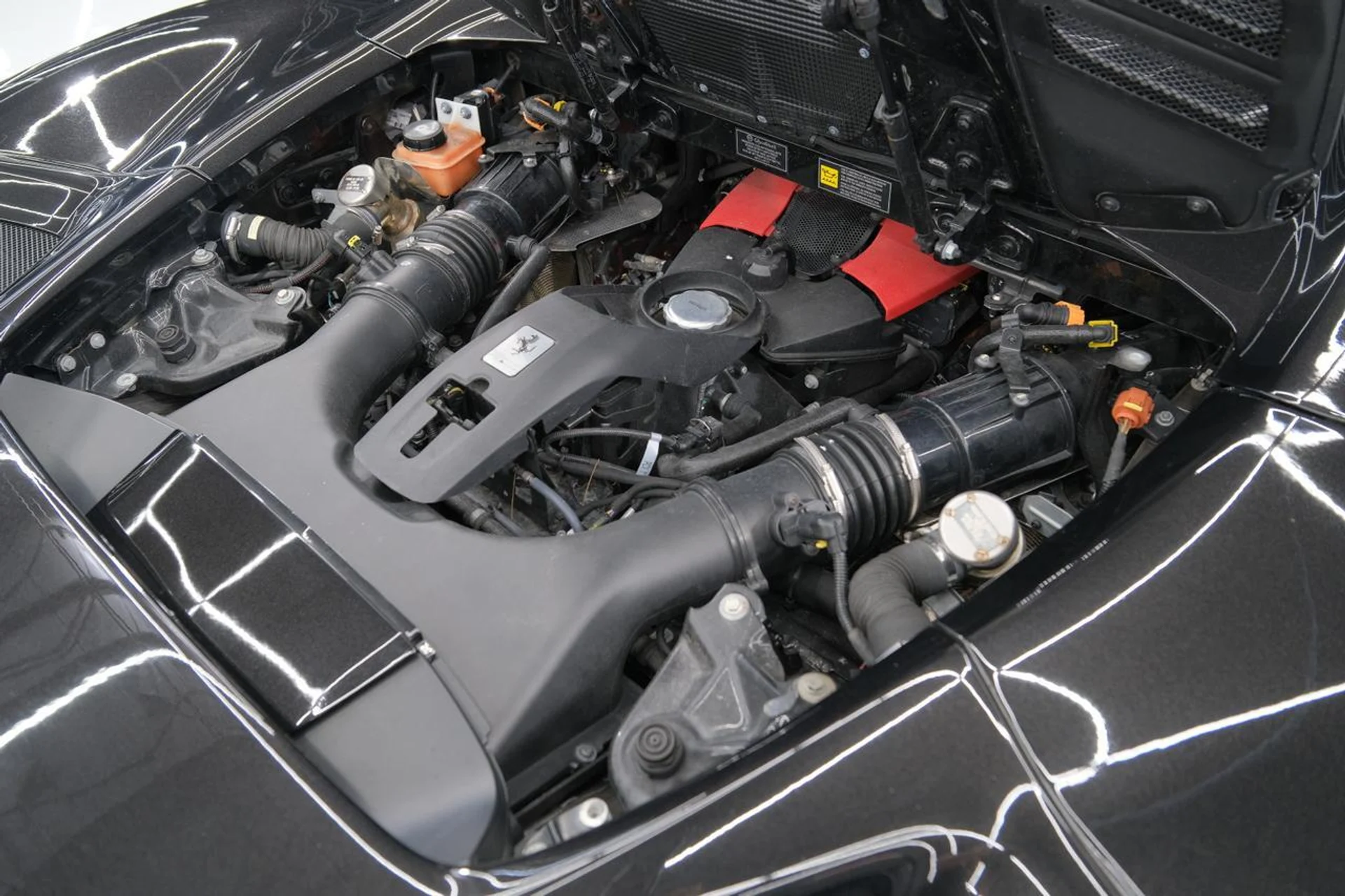 mph046_391053094_d484f270c0325ca0a32a5c40e5f1f64b_b99b5b107a