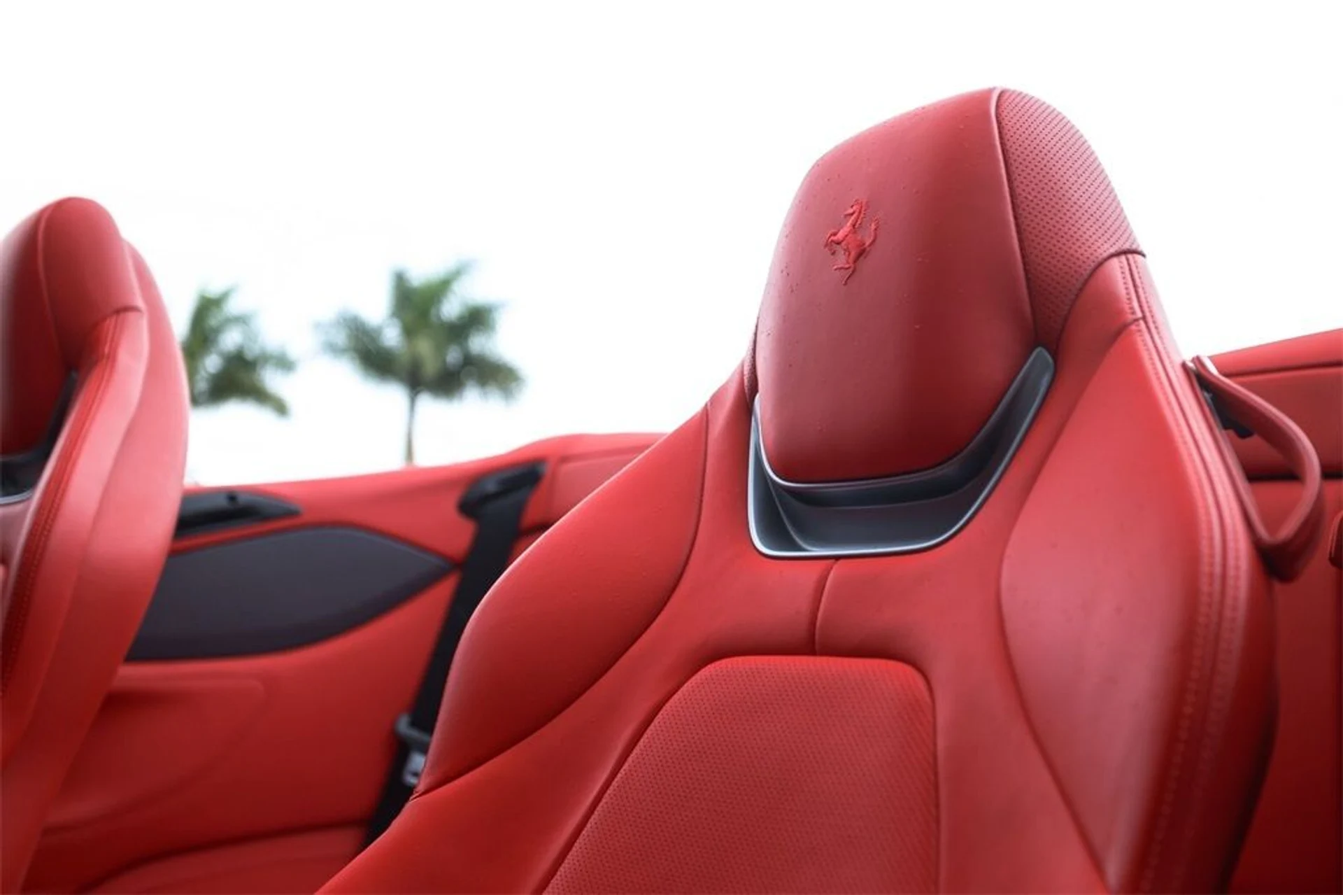 mph046_4160125963_117f1110d7d66344c648b97145266d57_d55e02df54