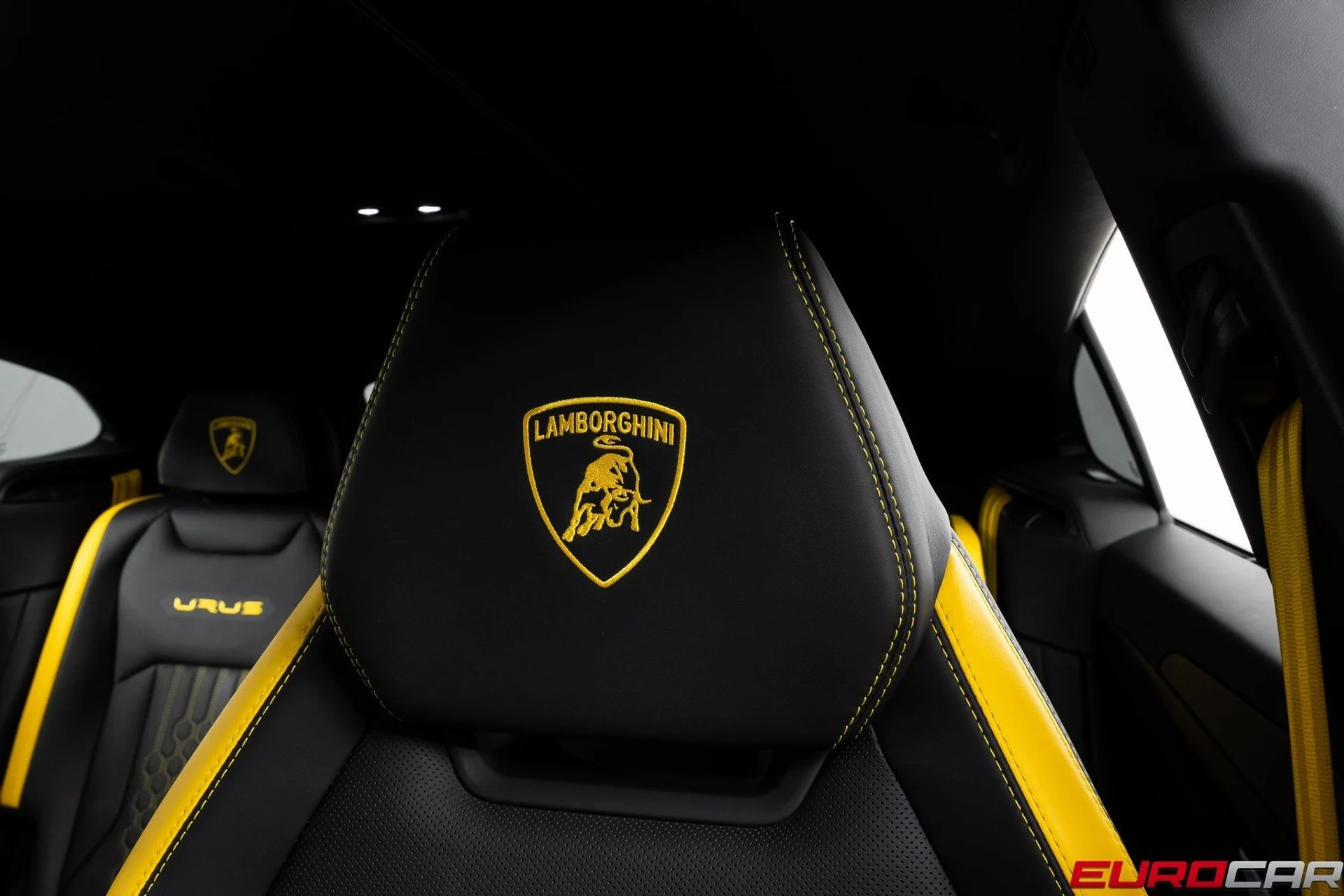 mph046_919206233_image_47_80c8e6cc6c