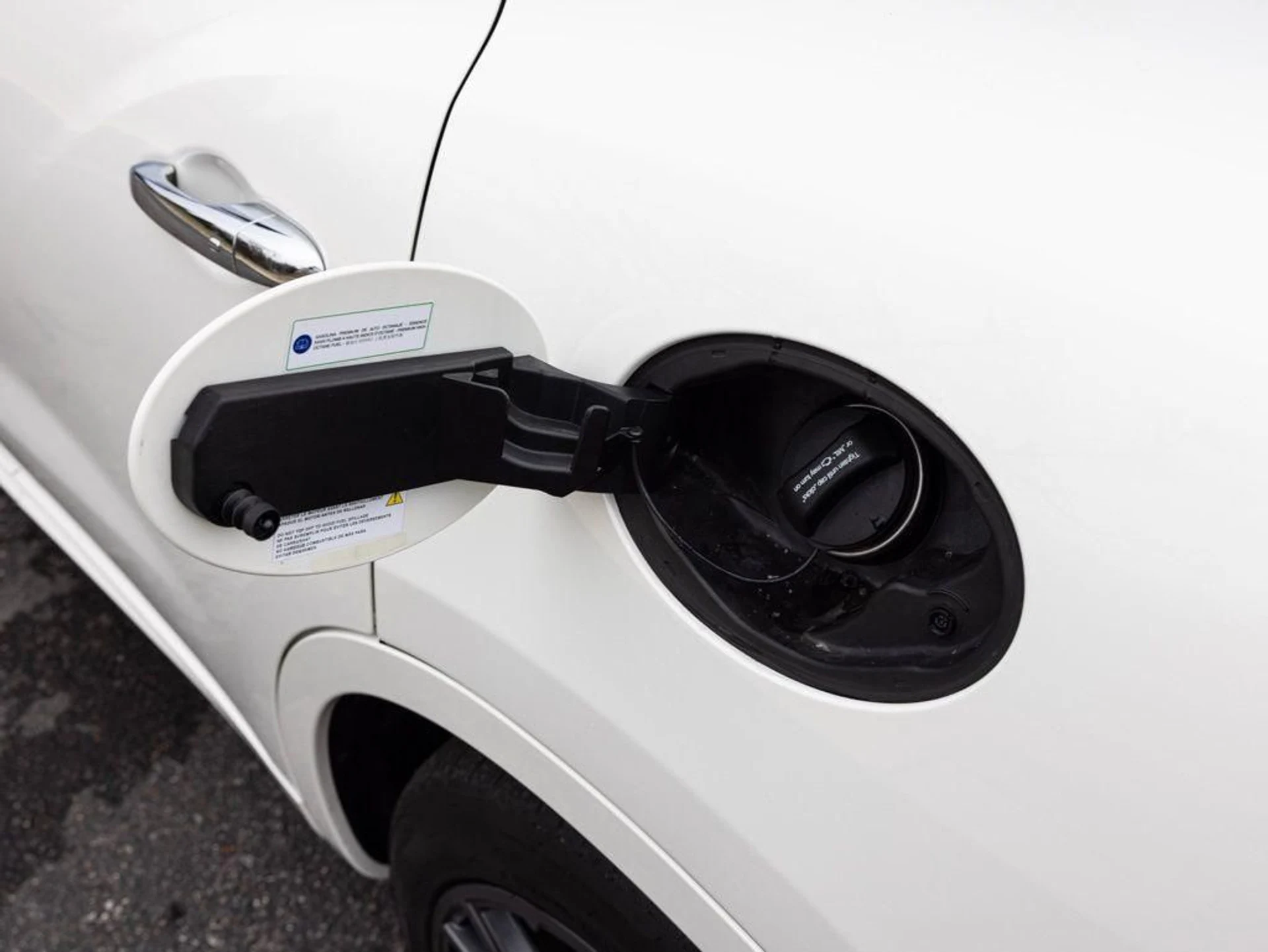 mph047_1036557187_490082366_697e1d8c241a57c3178fffdb_cd7899012e