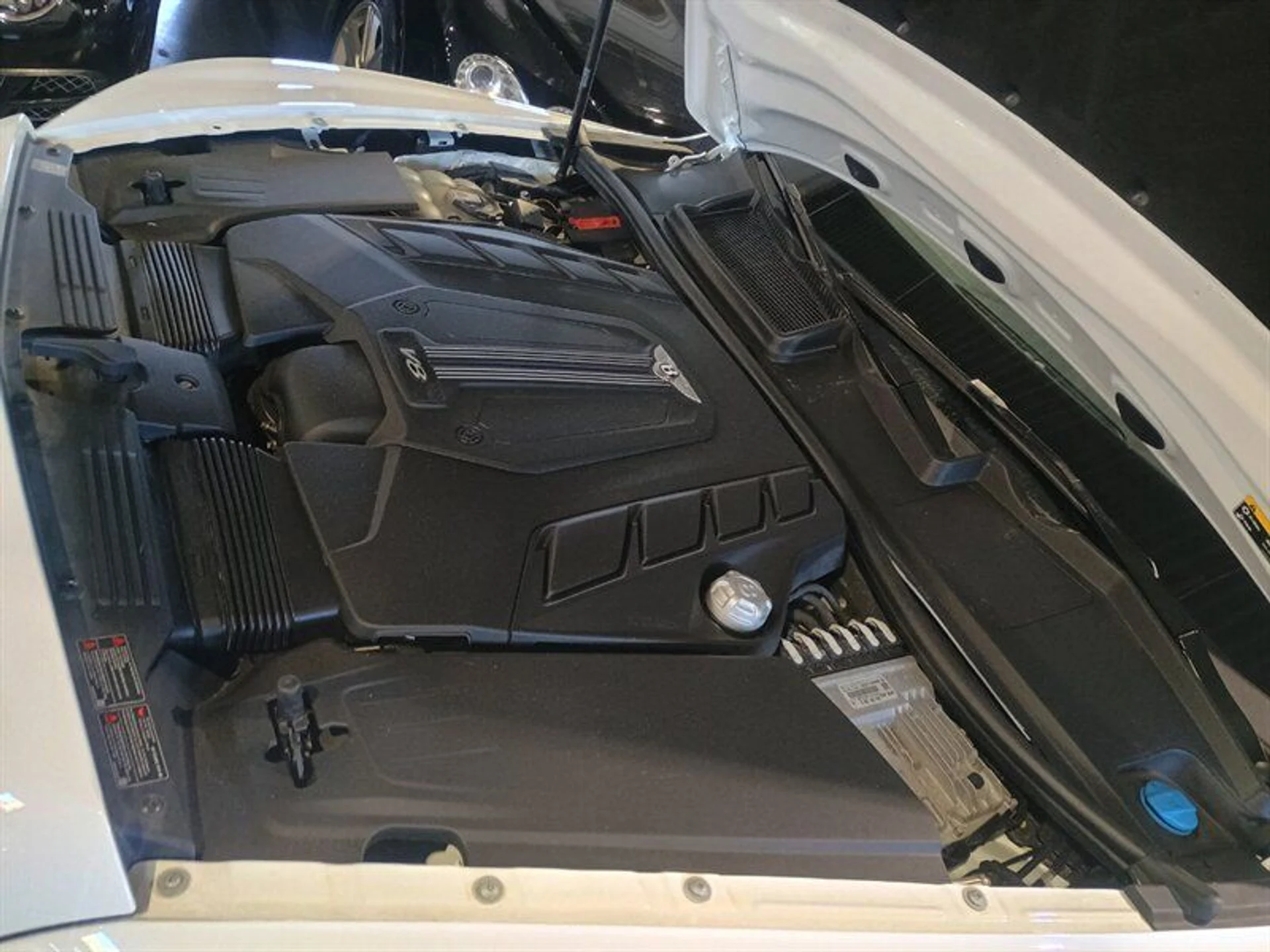 mph047_1114262092_1ee8bd1aac_800_5935e81604