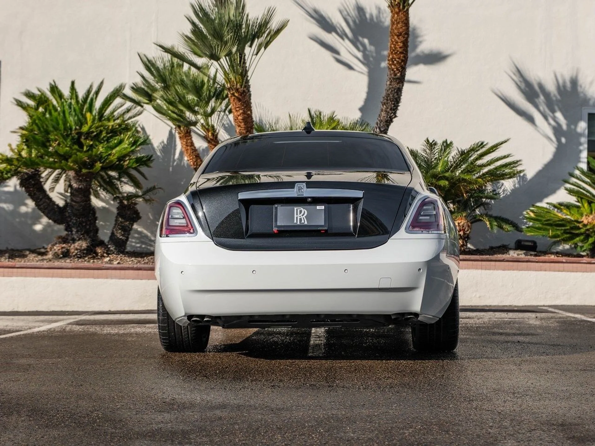 mph047_127561522_ccea23559f9464a4936de21a9ffc9012x_c73c91f206