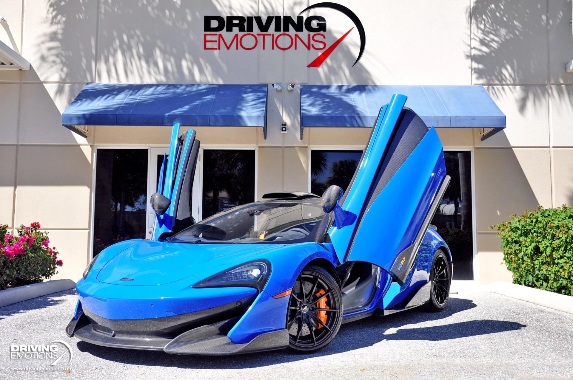 mph047_2479472008_836_p48_l_bb36d69eed