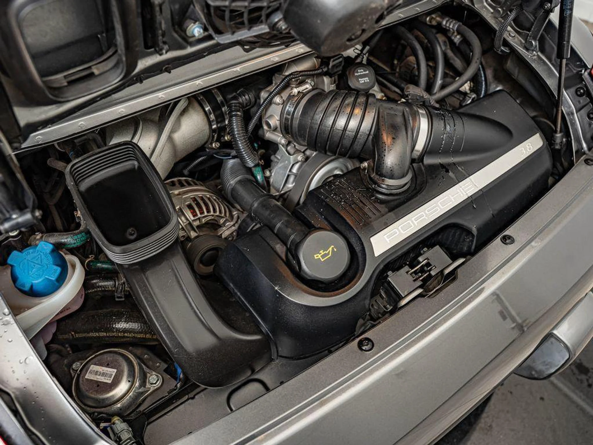 mph047_287049324_s1_W6_Tm_RL_8_Wl_C39_CH_15x_Y_Mu80ak_Q_3d6469d477