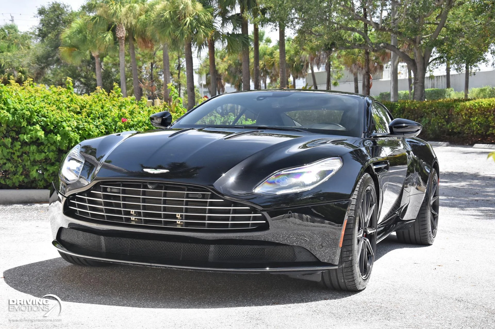 mph047_3126133505_861_p48_l_a892f02f22