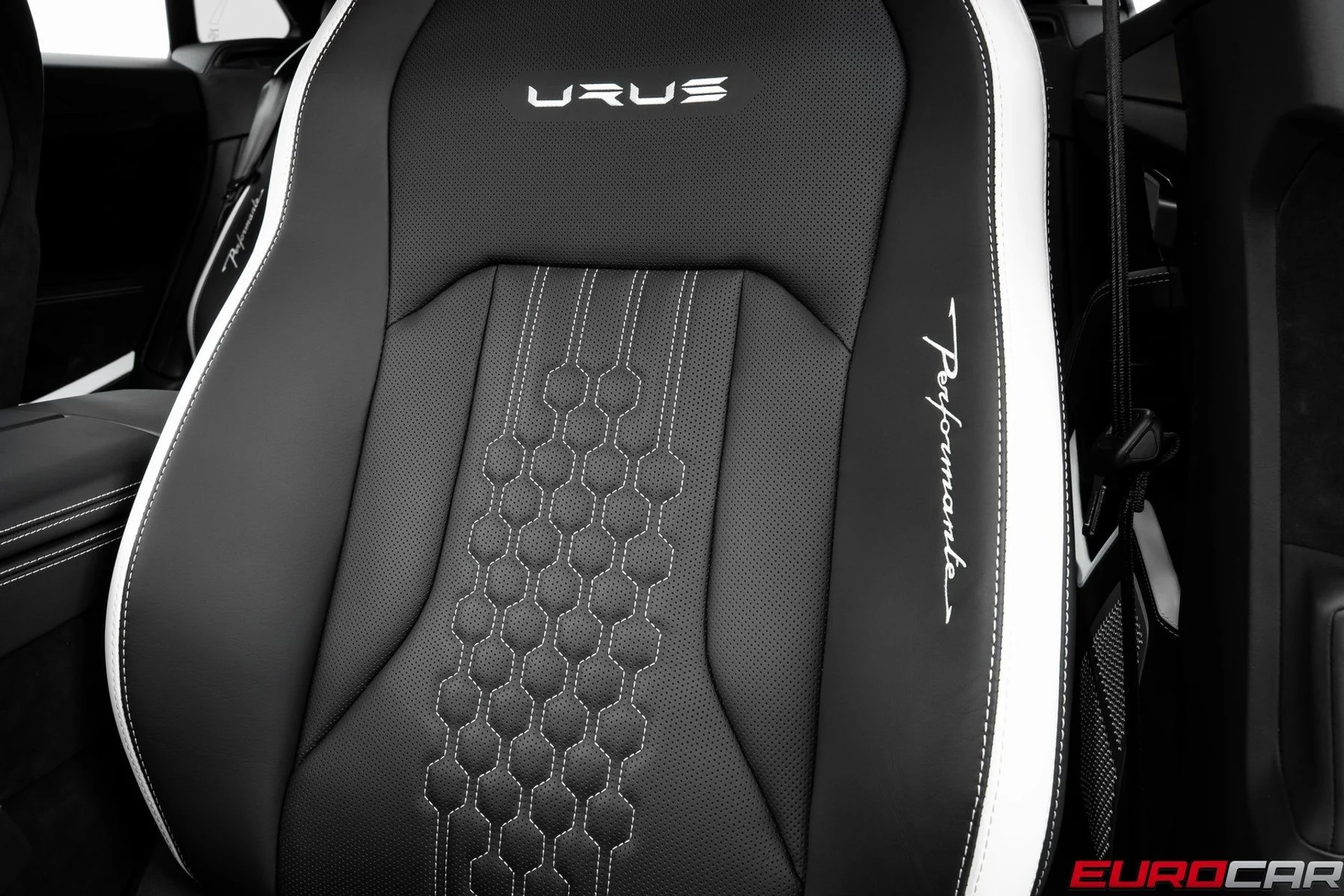 mph047_3181835950_image_48_124f171d7f