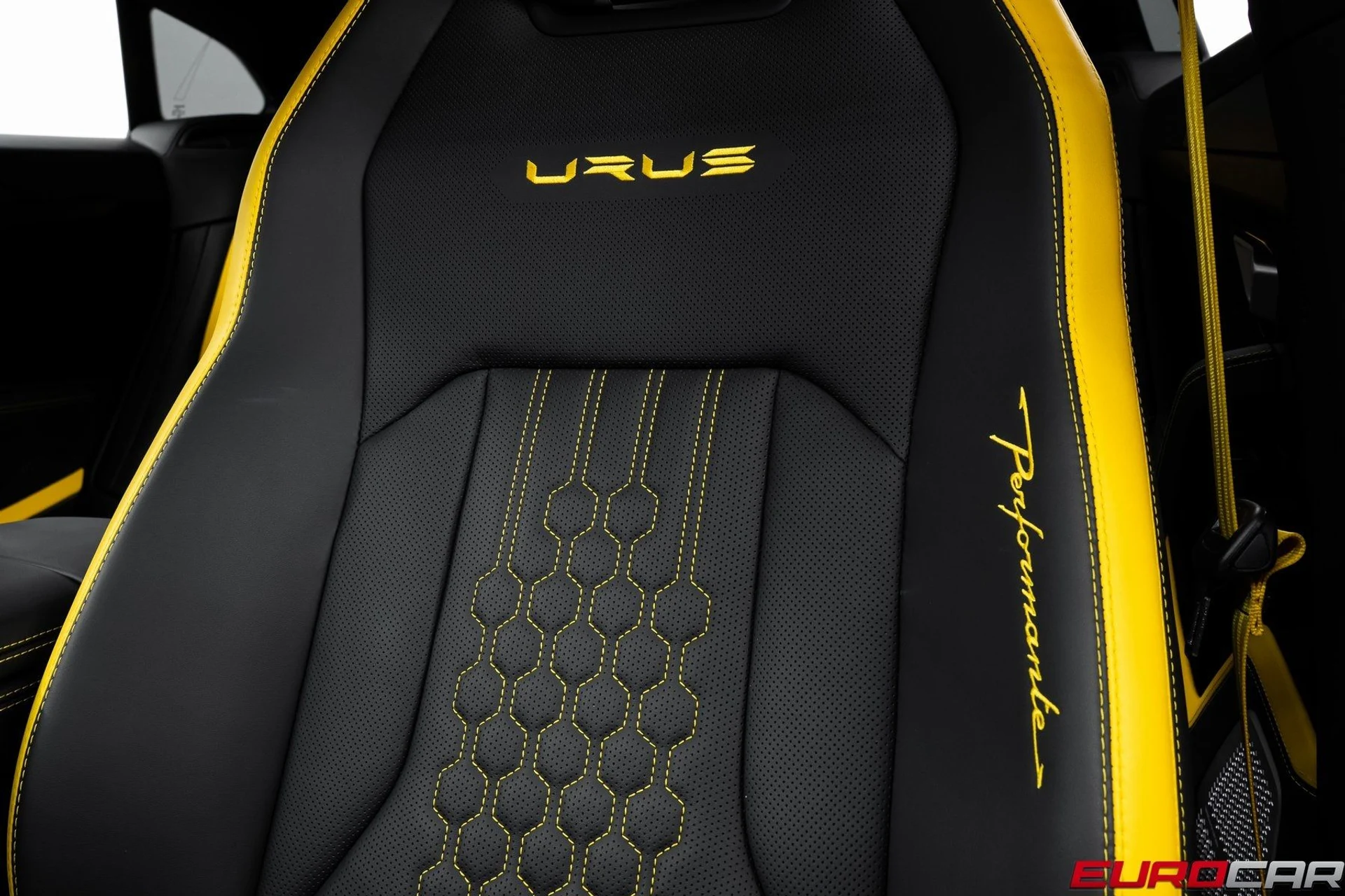 mph047_3374597210_image_48_8703daab86