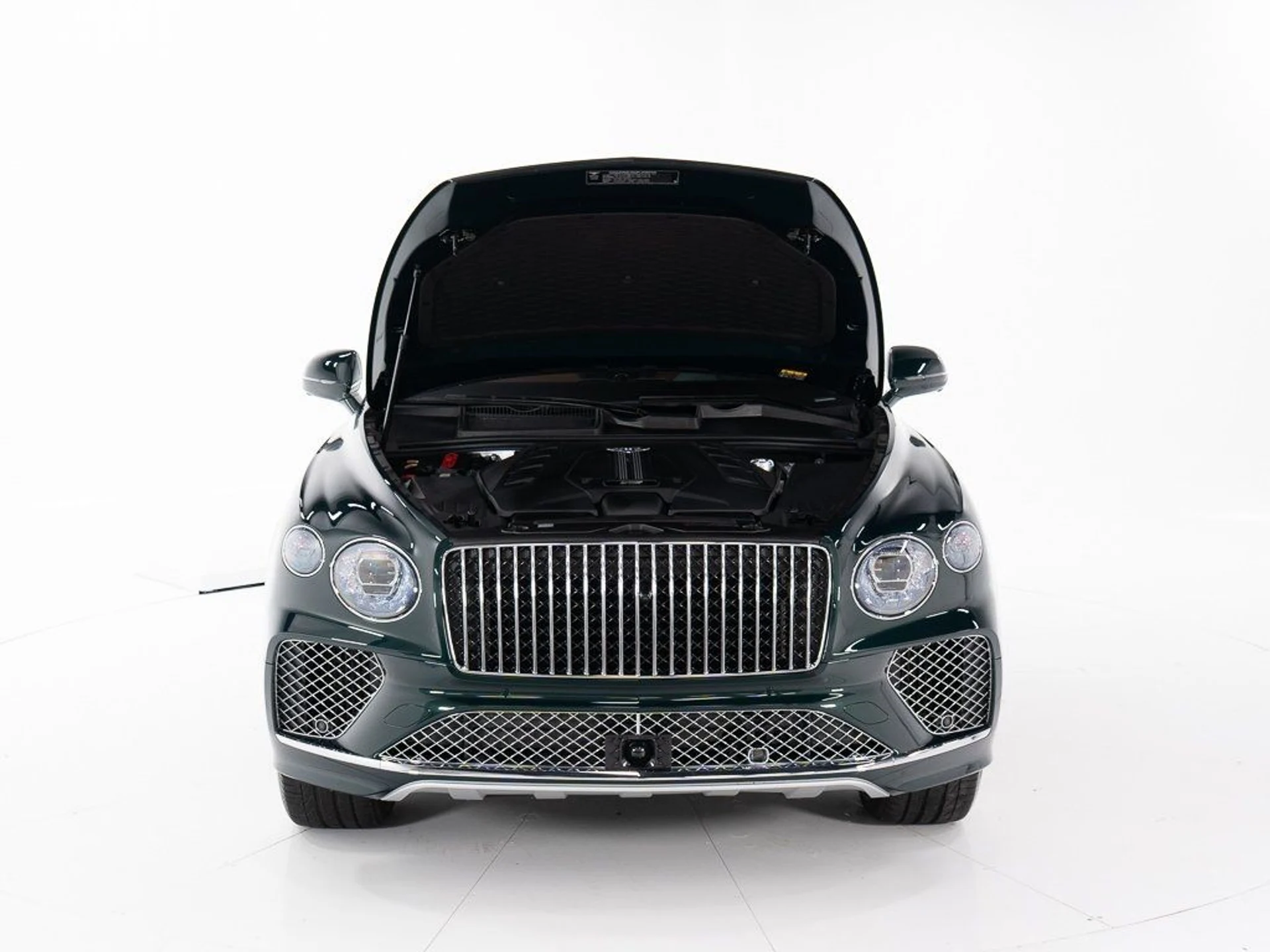 mph047_3636386820_269986ac2834b9952ebf118983e640a6_fc0f8ef2d6