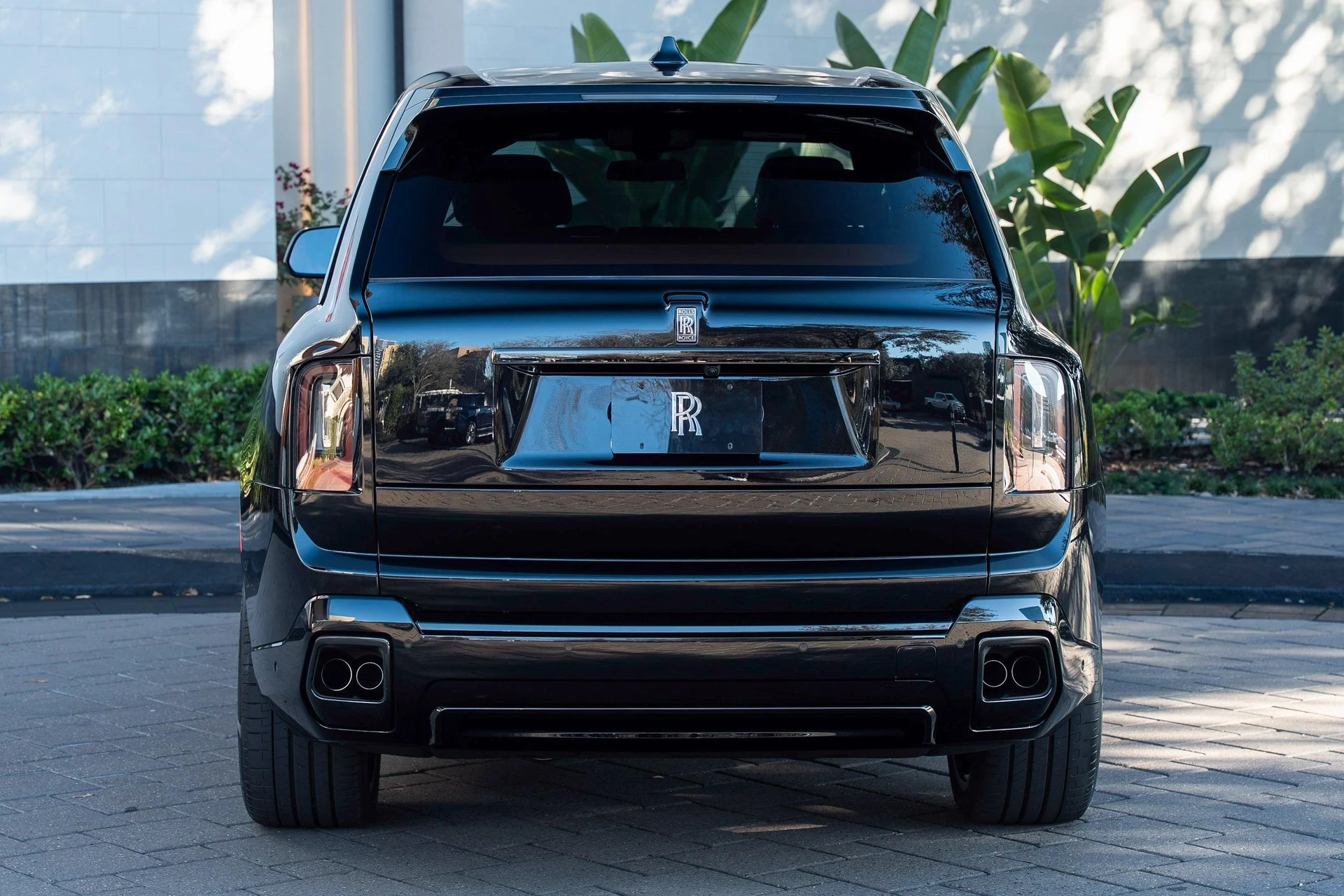 mph047_3645888442_483408136_6969d4ca715f2e0a5c25db5e_559bbc7d8f