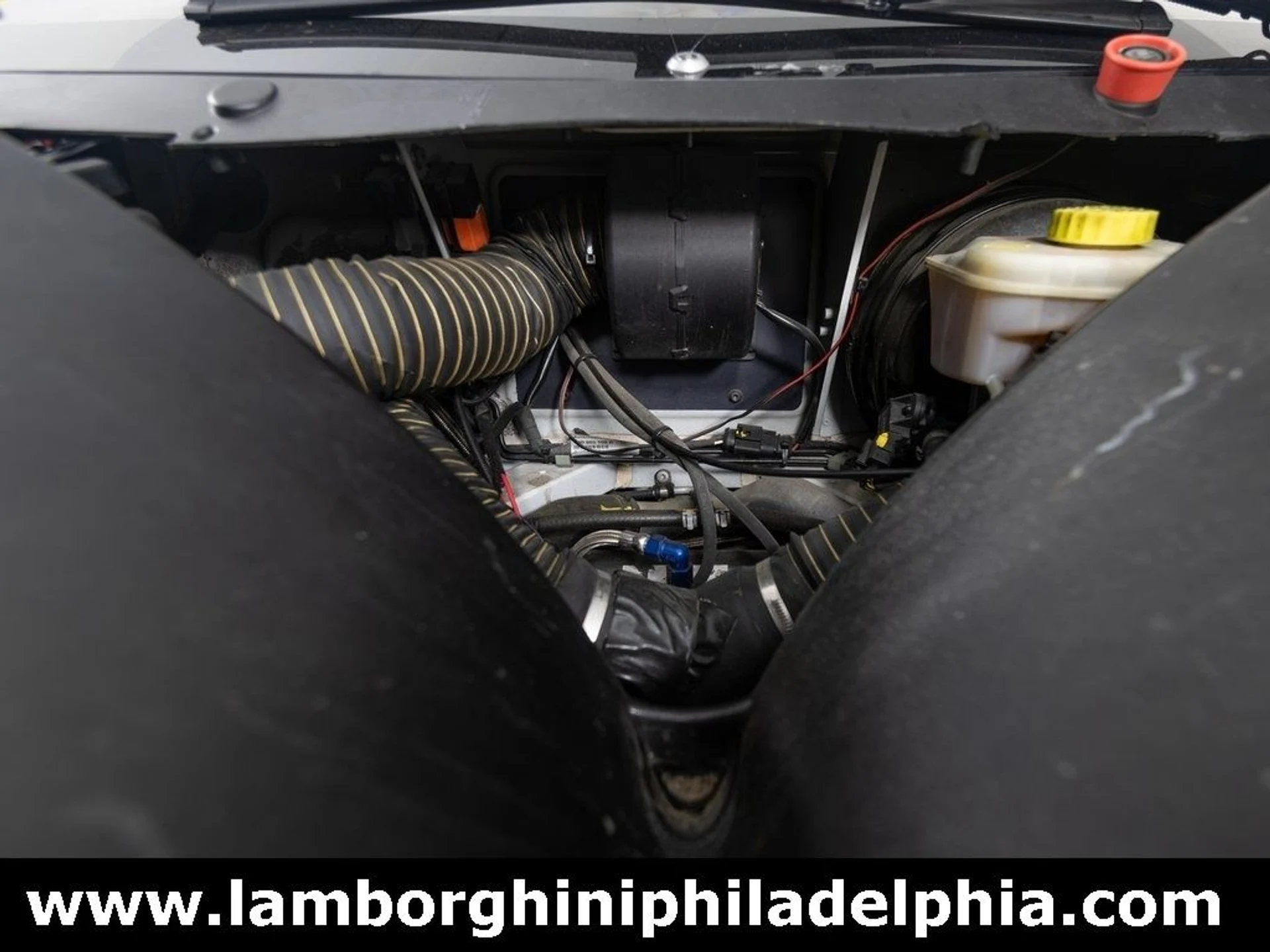 mph047_3919234128_9f91ae8a4a40303043c054e8631b4c98x_fe033ffa9f