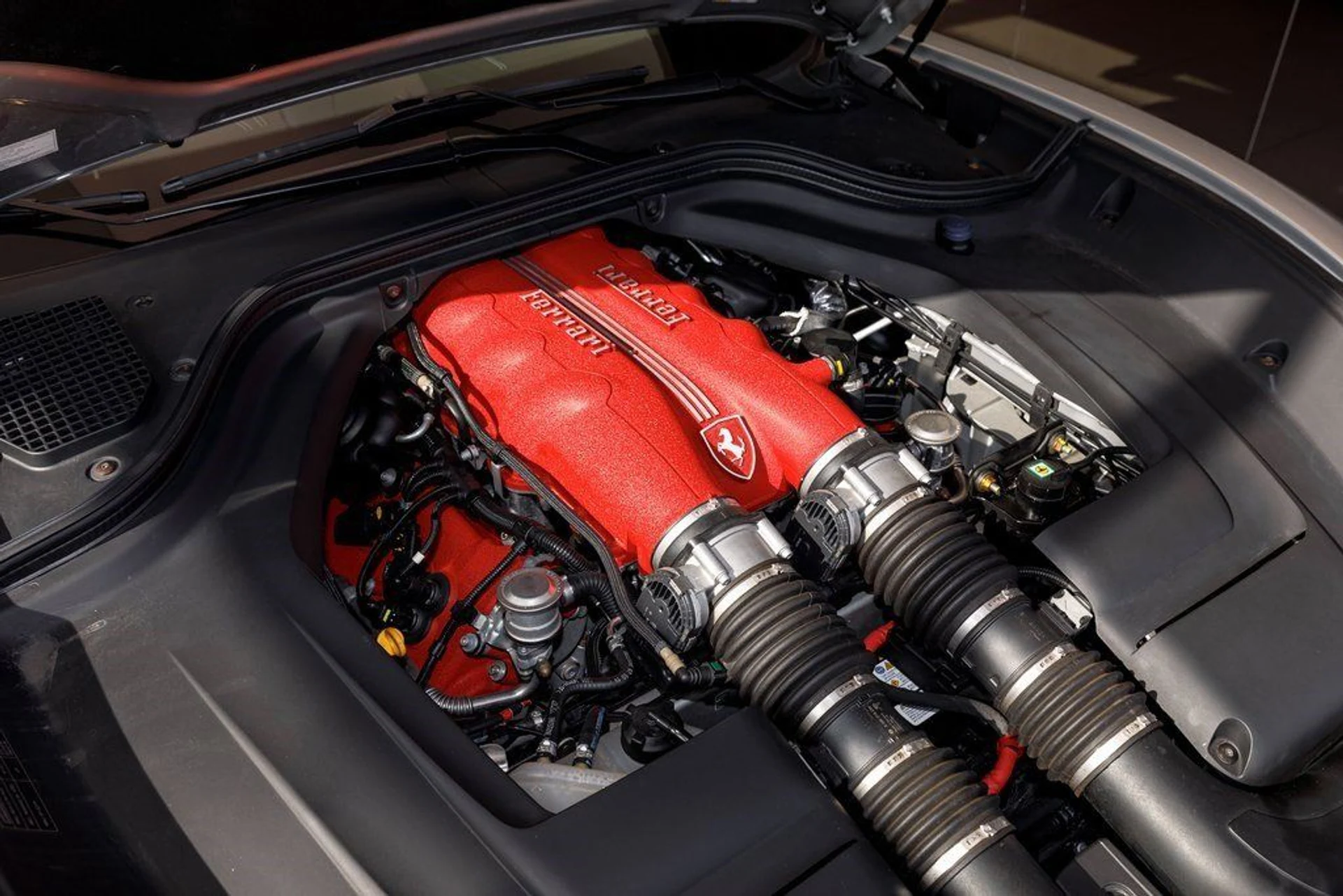 mph047_3948742423_2f24cdf2329d4659de5696ed02e48303_77608a2df7