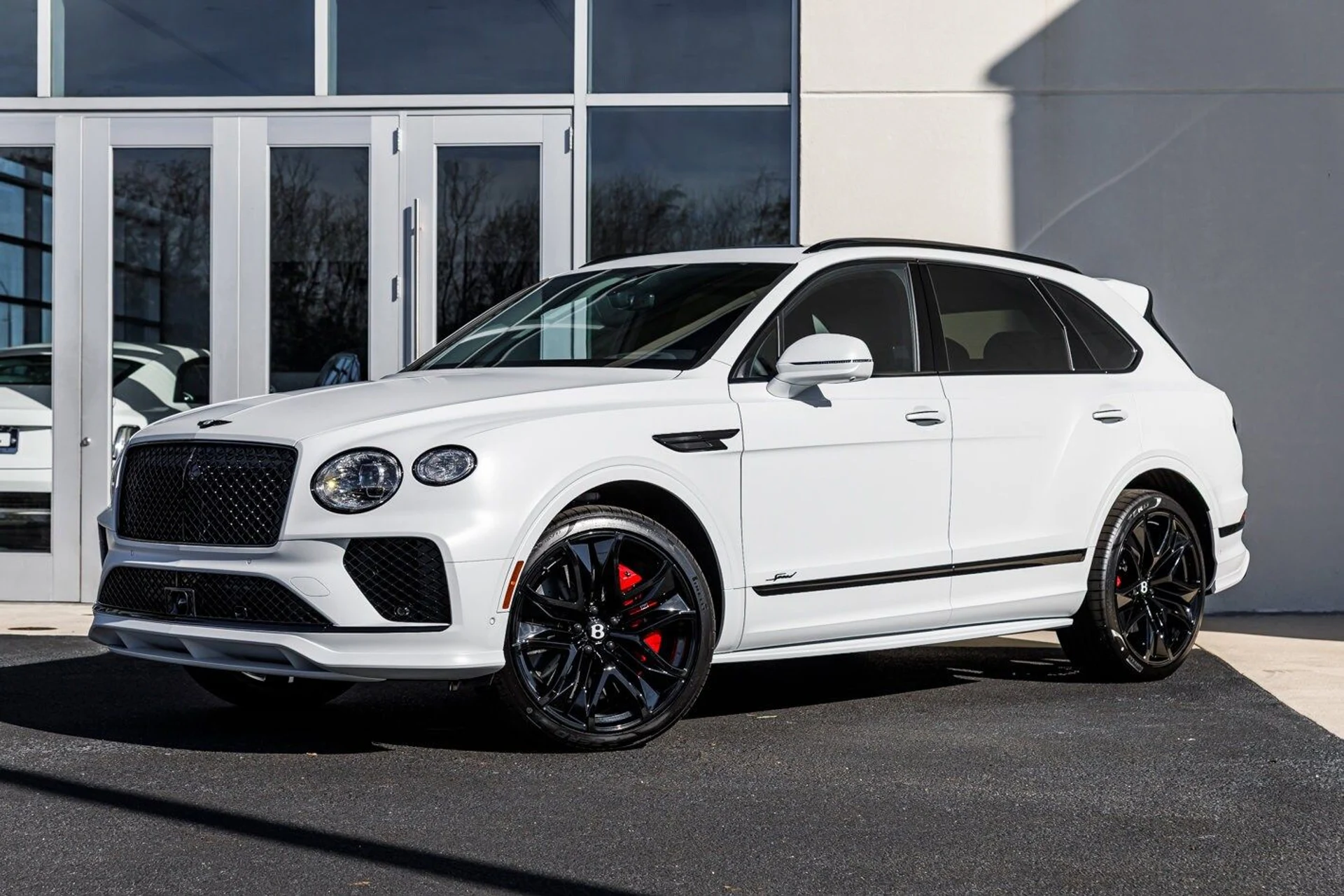 mph047_4082652290_e936efeb1c008e9ae1a28a83c4e805a8x_5b395b1e96