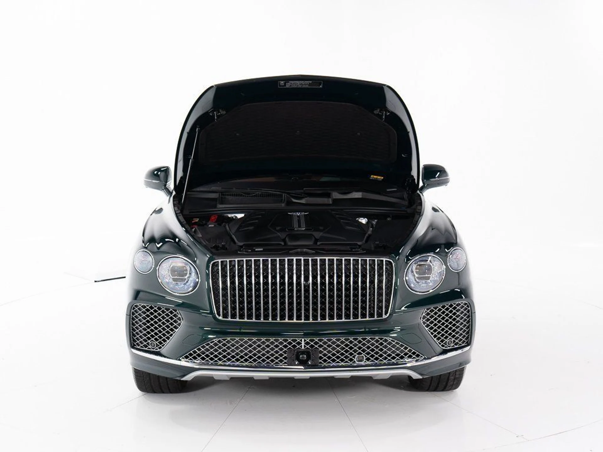 mph047_4088644521_69515121eddb5063ff1d868ac3f5c2f5_4837c73551