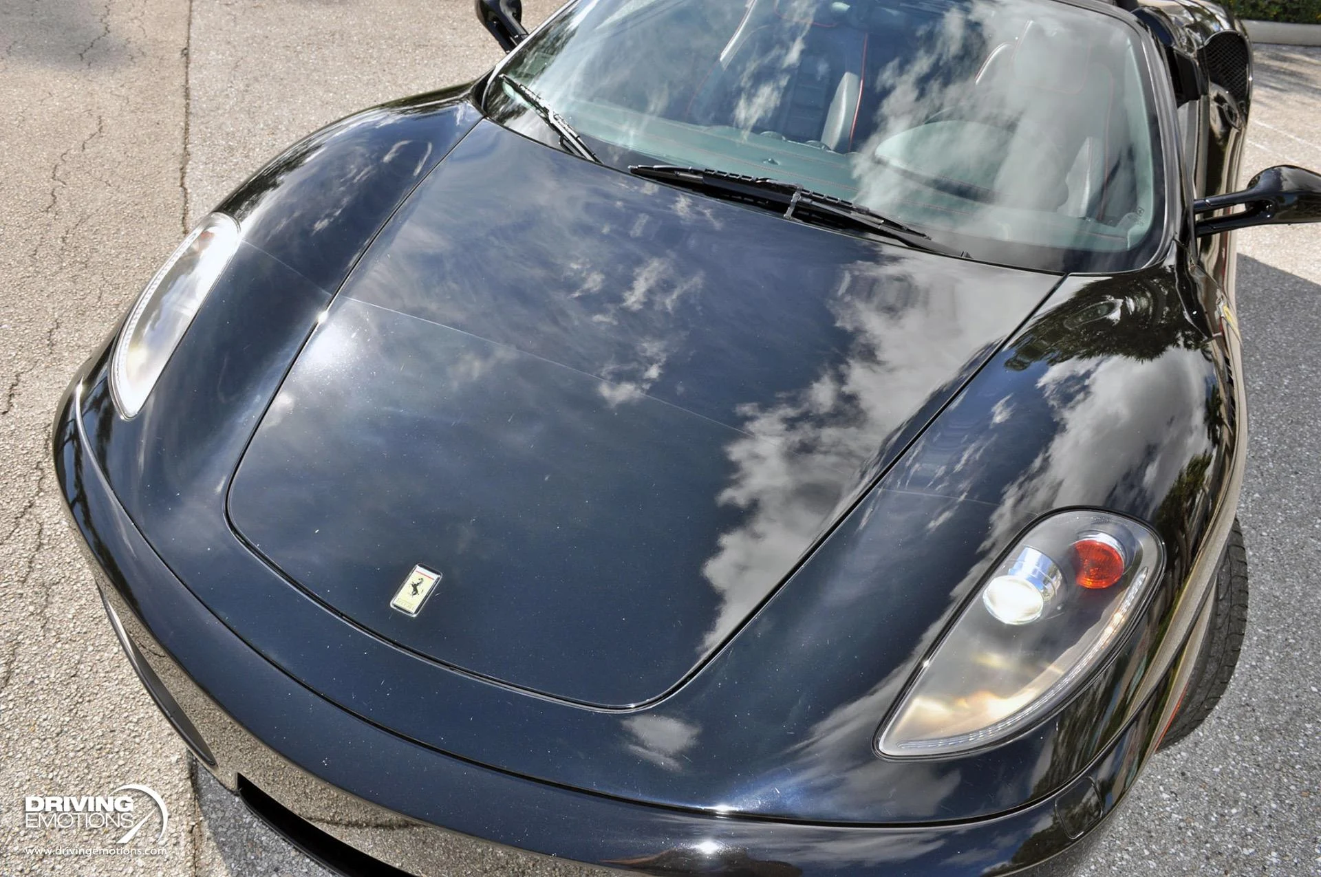 mph047_4276387344_885_p48_l_463ef4adf0