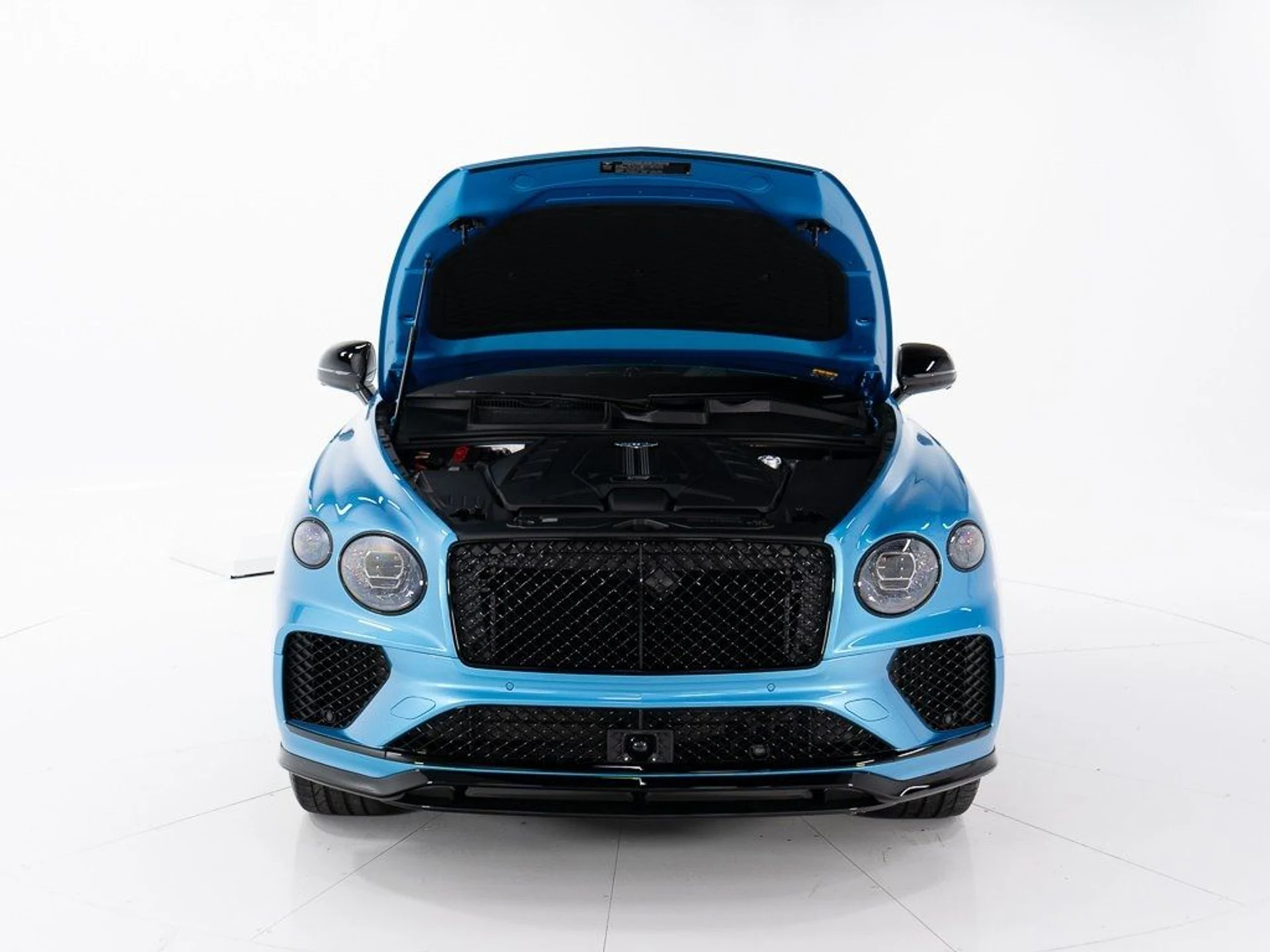 mph047_953176834_3371a8c384742ff5f5e1e396d1873c89_58309ec193