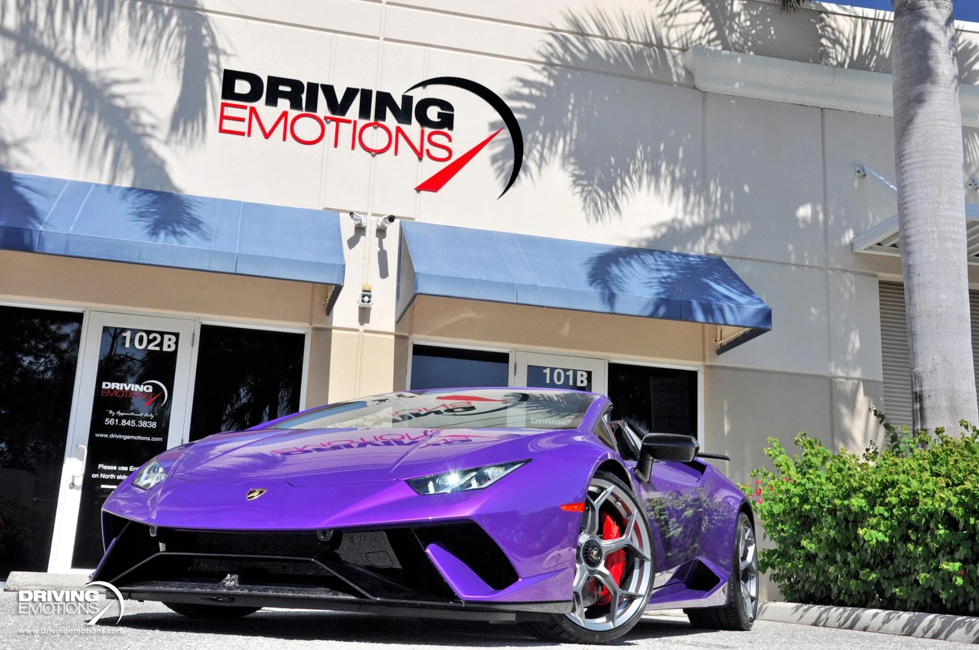 mph047_992763250_863_p48_l_bfbb184e91