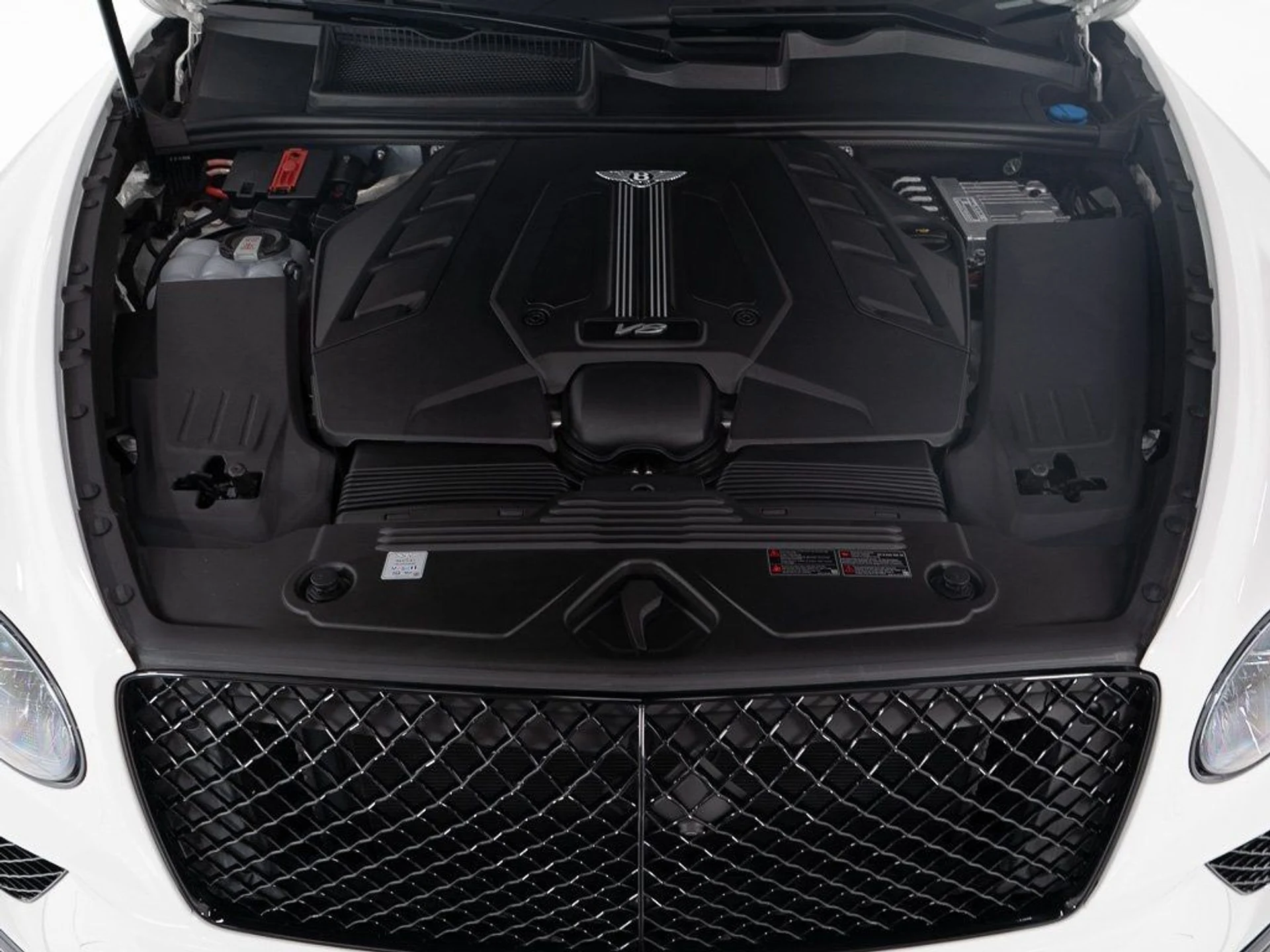 mph048_102379862_2ec600fe14cc117c913f9dc5324551ed_528da4b1c3