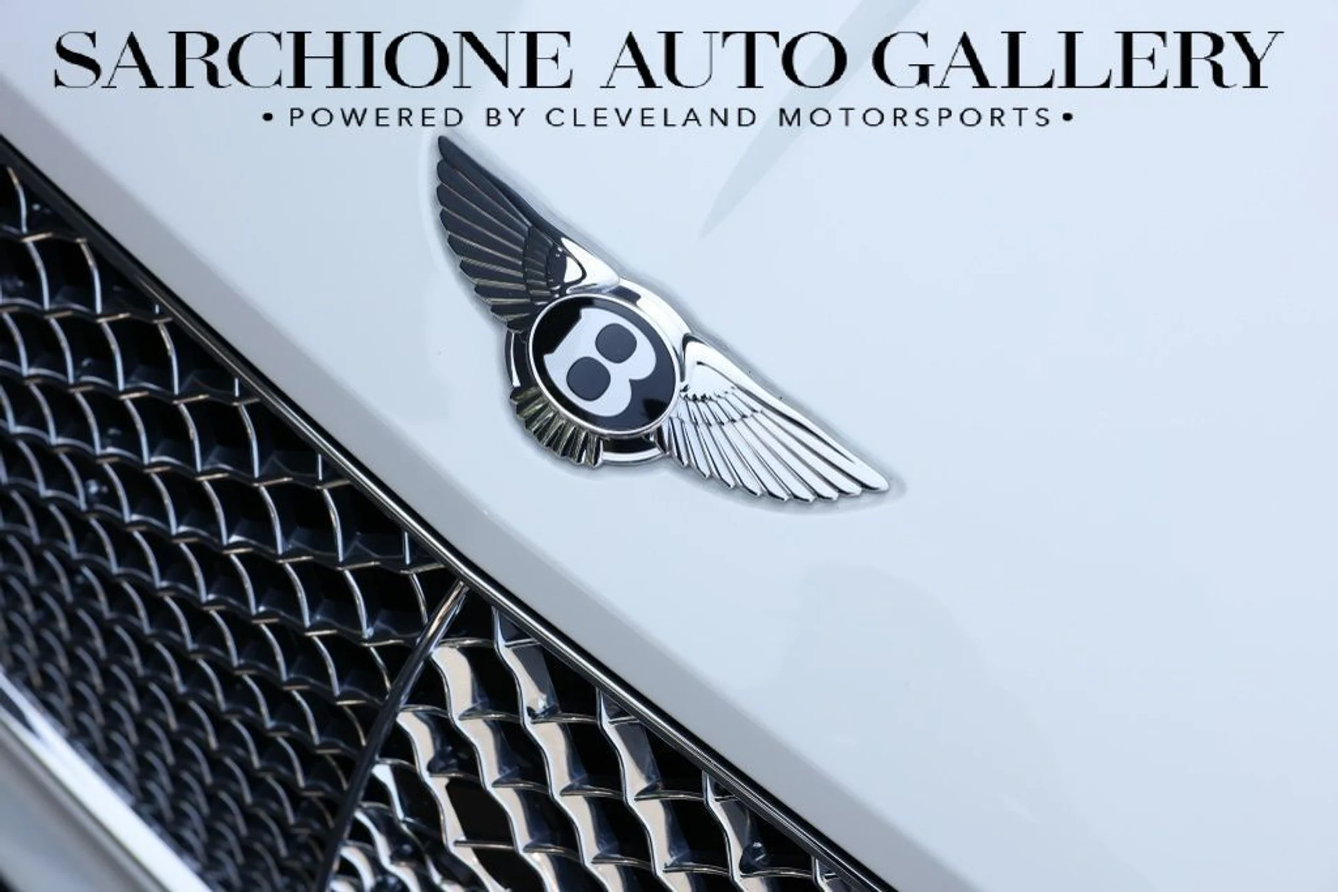 mph048_1100621681_tz54x8b45p2yqg8gmfr36htjeh3v_9bae649d50