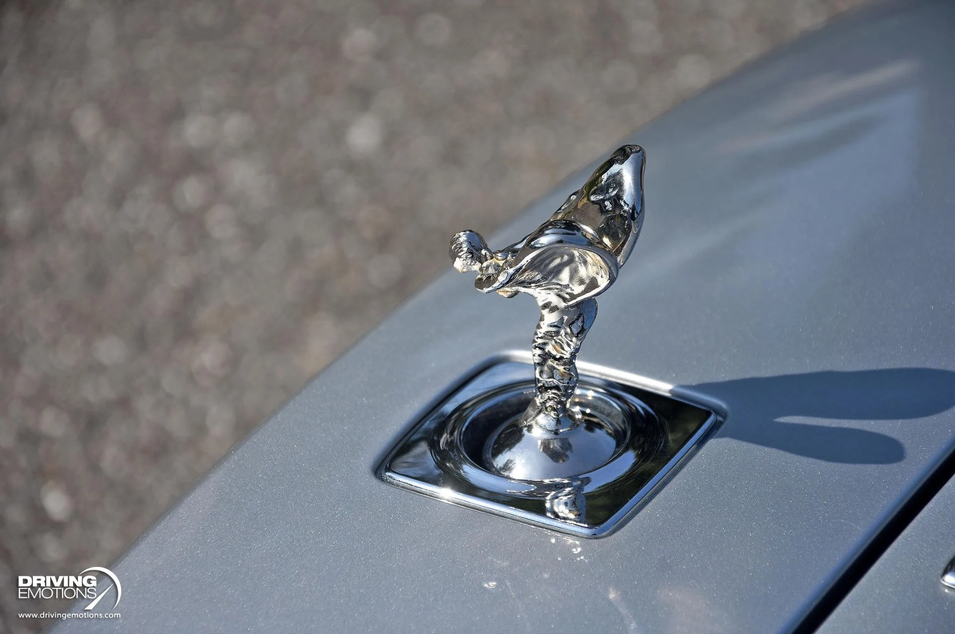 mph048_1114714592_883_p49_l_7131469222